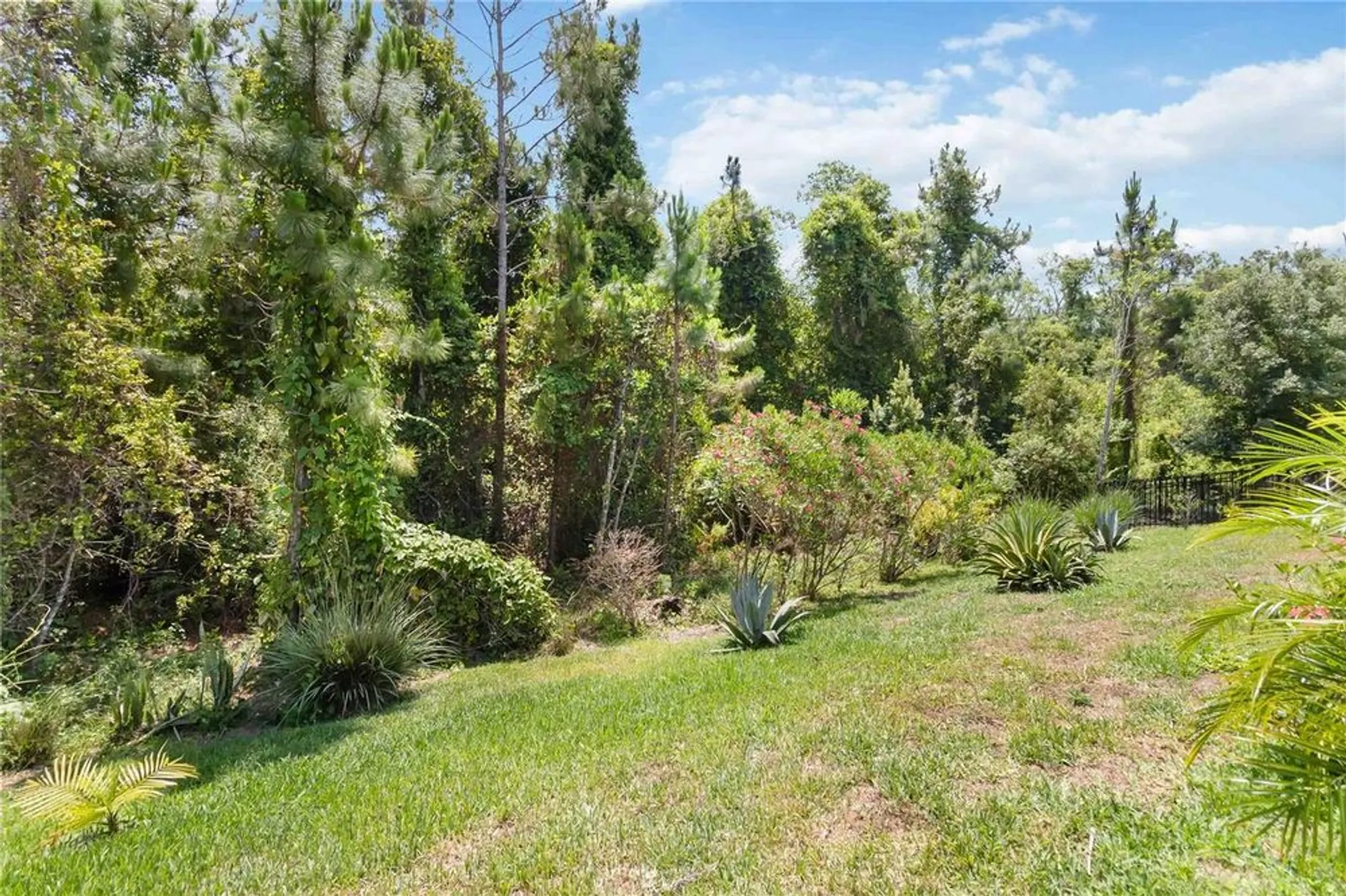 Property Slideshow image 44 of 87 | 3378 sagebrush st, Harmony, FL, 34773