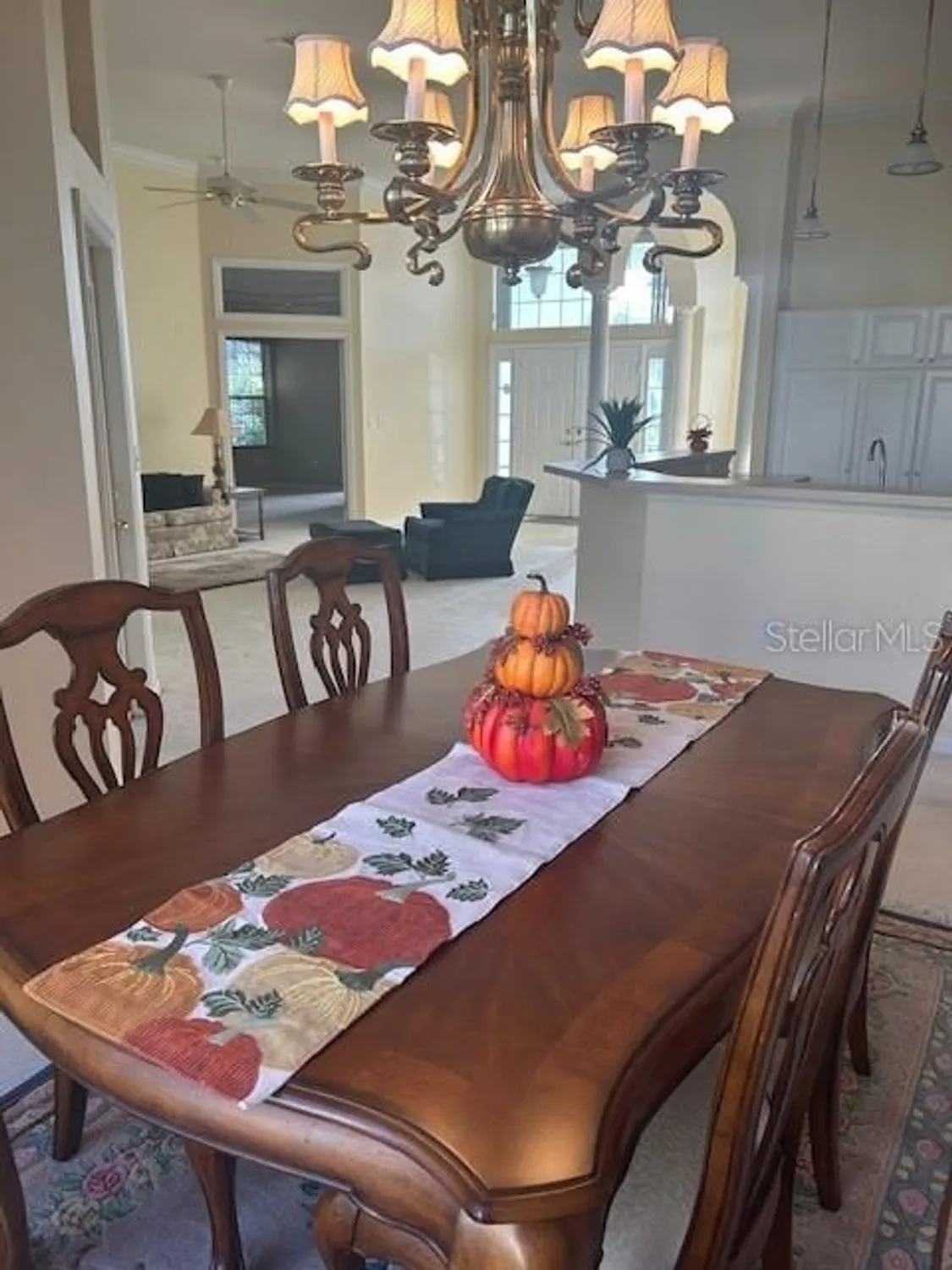 Property Slideshow image 17 of 73 | 11127 sw 73rd cir, Ocala, FL, 34476