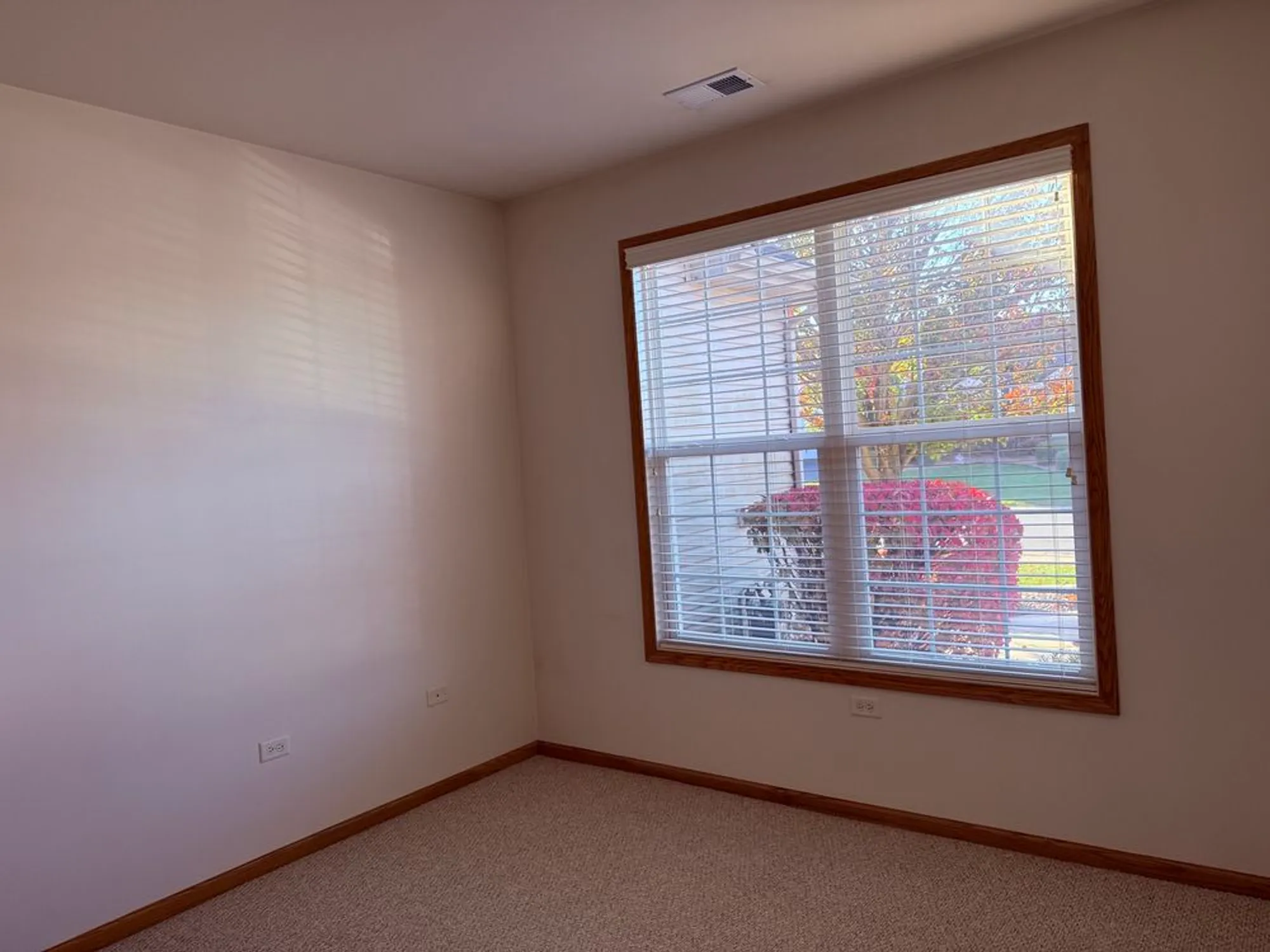 Property Slideshow image 11 of 21 | 17009 mendota dr # 17009, Lockport, IL, 60441