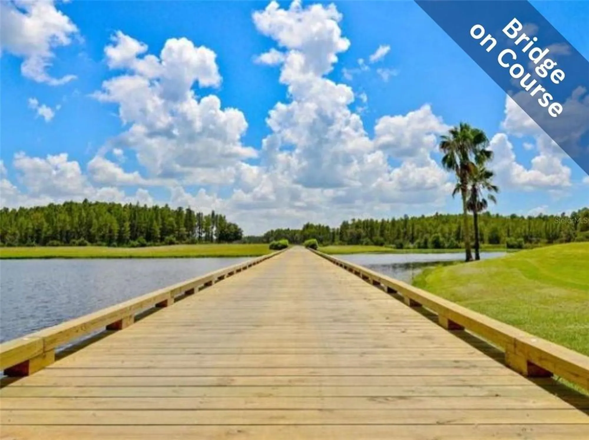 Property Slideshow image 31 of 50 | 1745 westerham loop, Trinity, FL, 34655