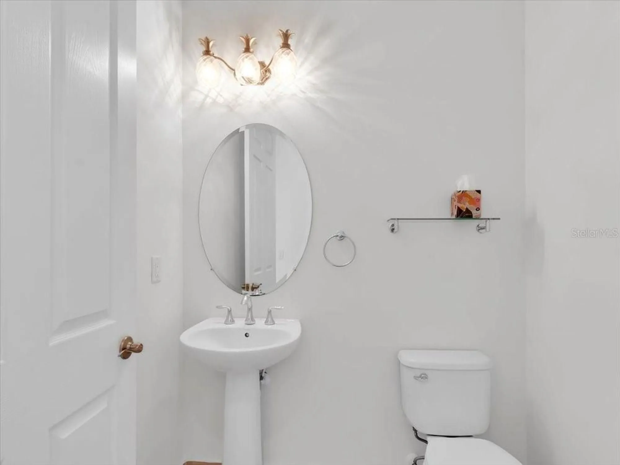 Property Slideshow image 23 of 76 | 16308 garnet glen pl, Wimauma, FL, 33598