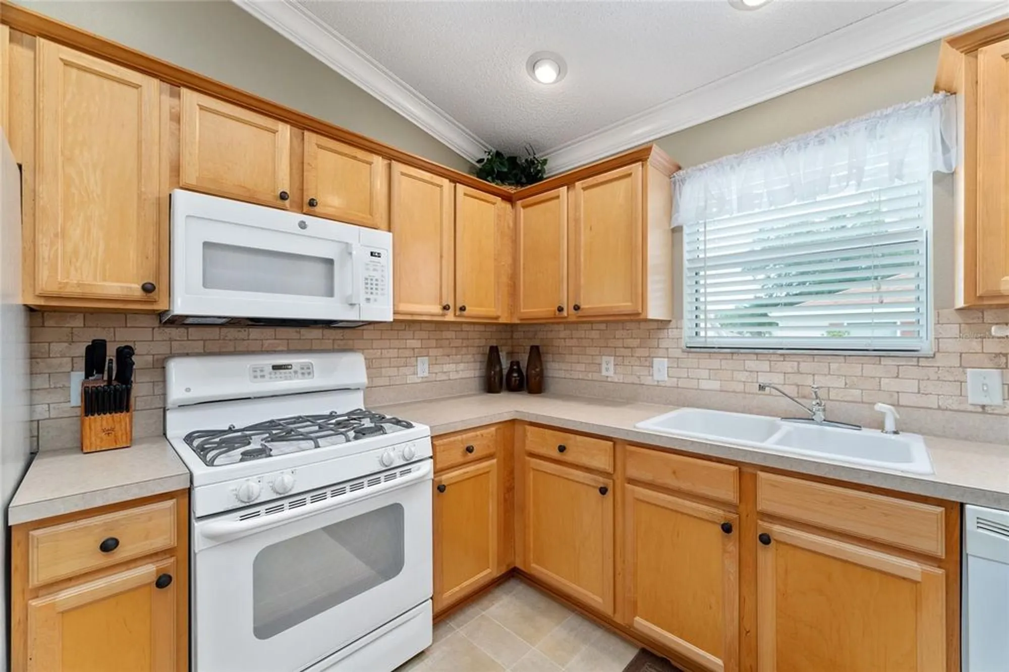 Property Slideshow image 18 of 59 | 301 pacolet ter, The Villages, FL, 32162