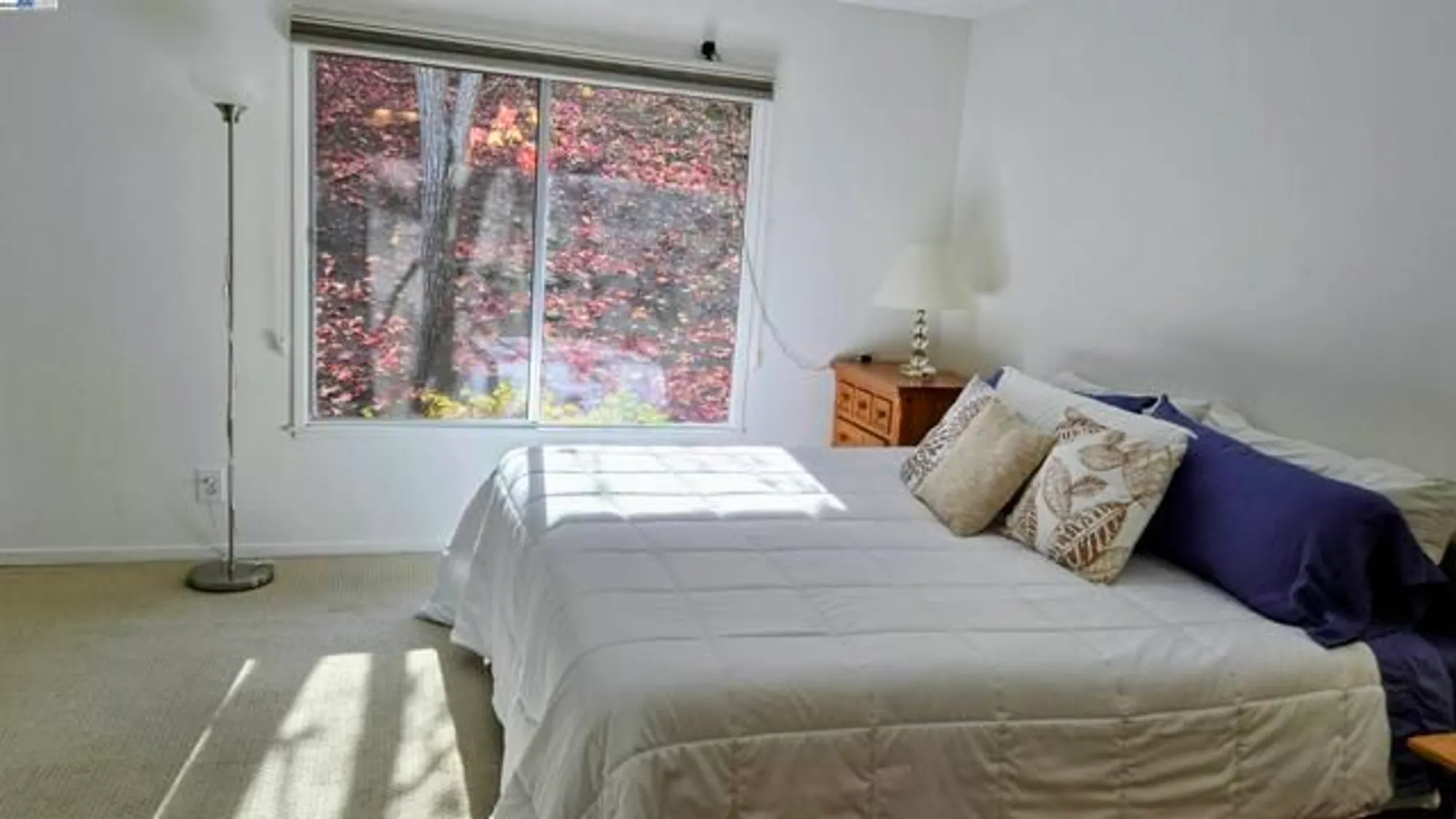 Property Slideshow image 17 of 18 | 1932 ptarmigan dr apt 1, Walnut Creek, CA, 94595