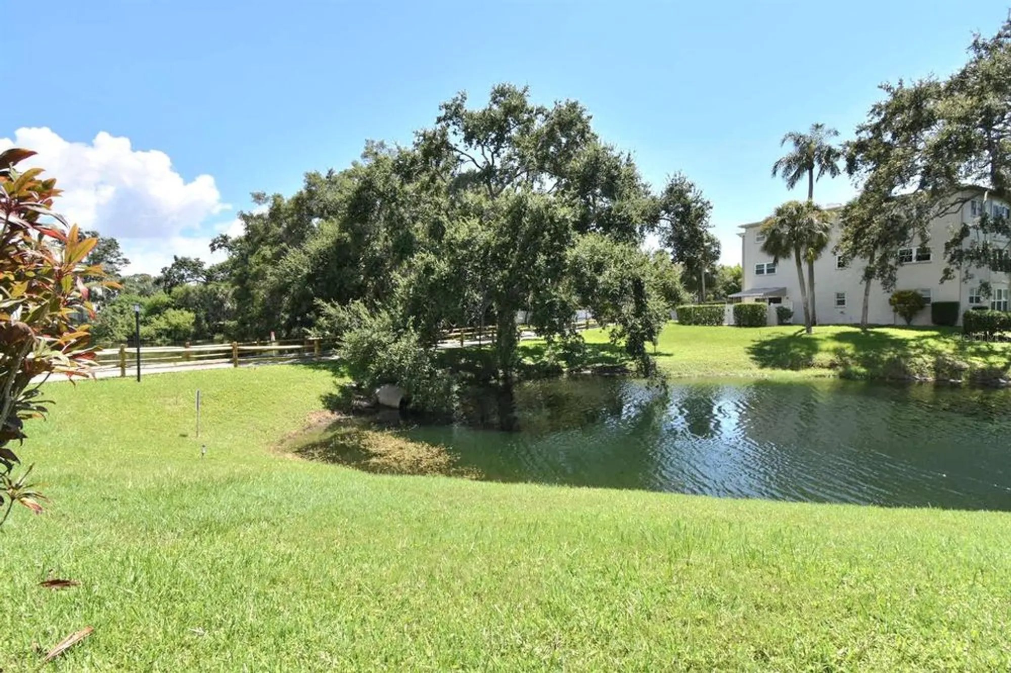 Property Slideshow image 23 of 30 | 946 virginia st apt 102, Dunedin, FL, 34698
