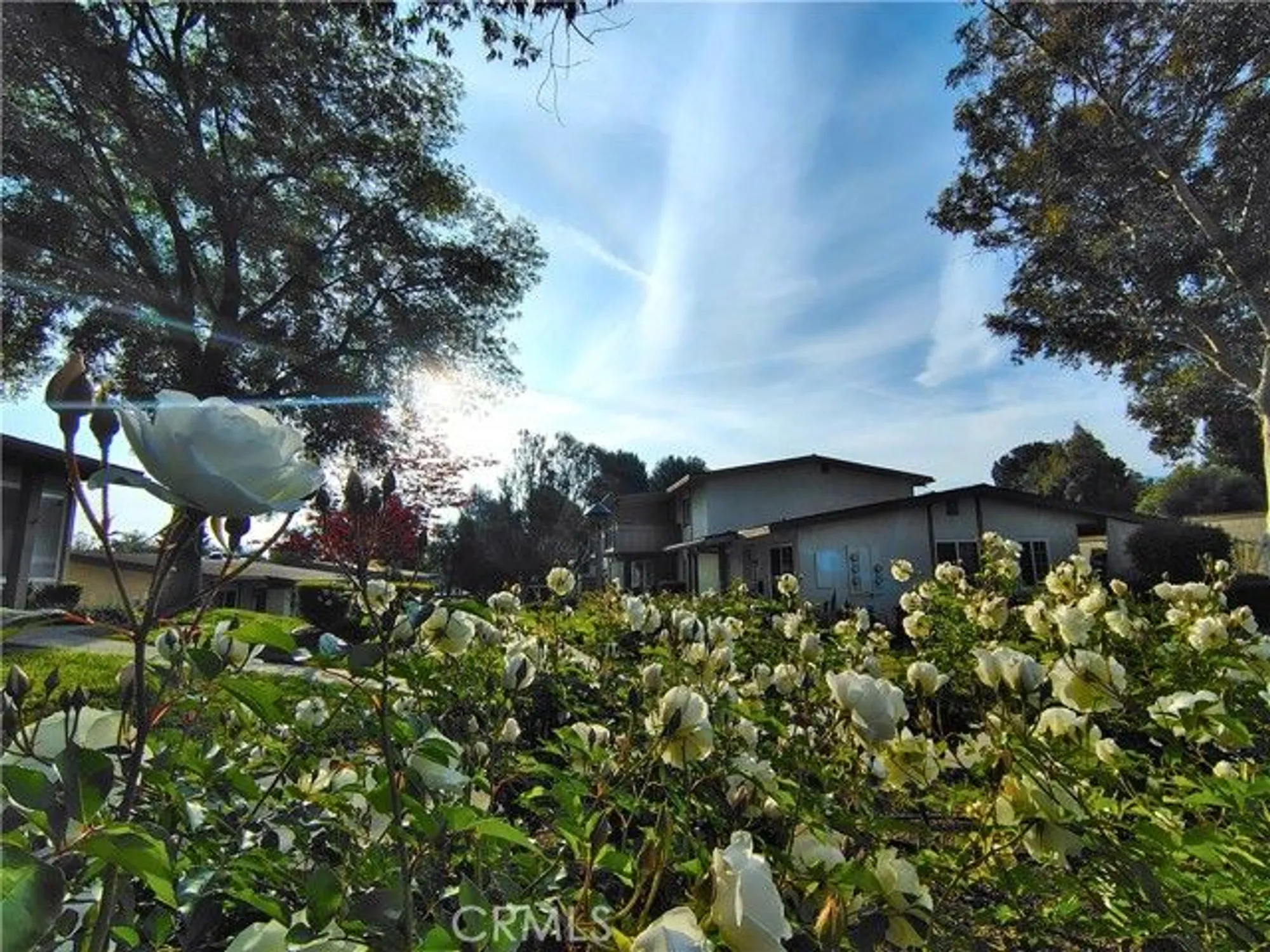 Property Slideshow image 21 of 35 | 26373 oak highland dr e, Newhall, CA, 91321
