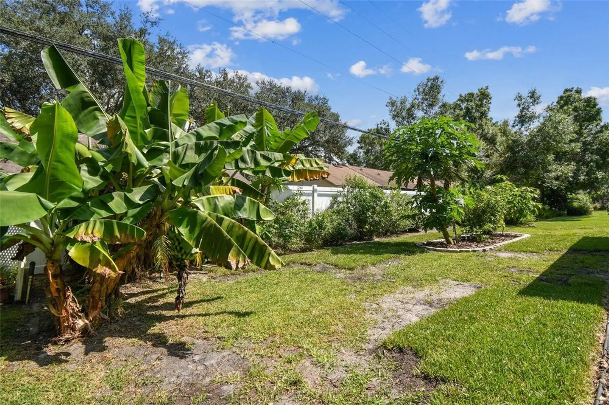 Property Slideshow image 51 of 99 | 2834 thistle ct, Palm Harbor, FL, 34684