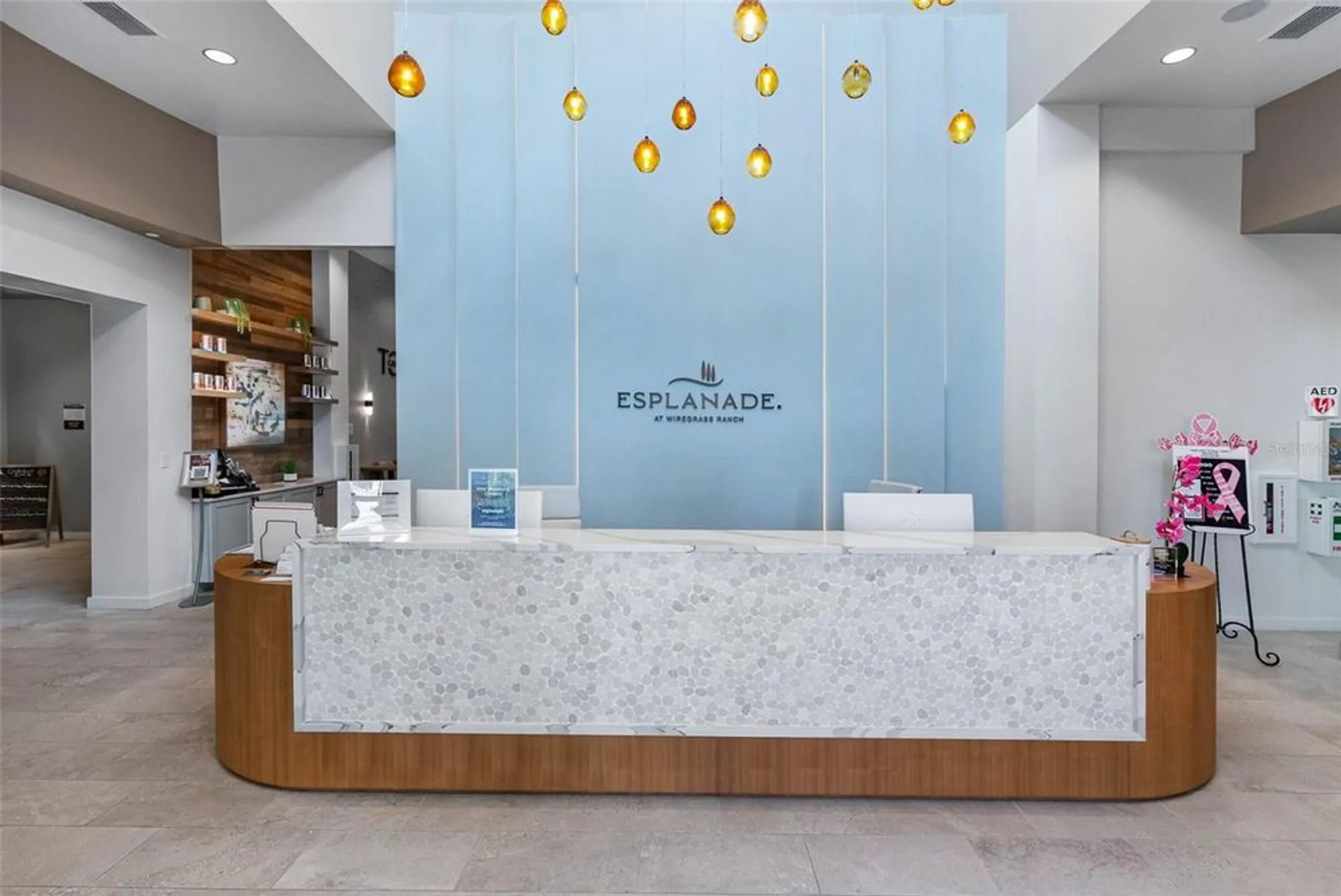 Property Slideshow image 42 of 50 | 4795 freccia loop, Wesley Chapel, FL, 33543