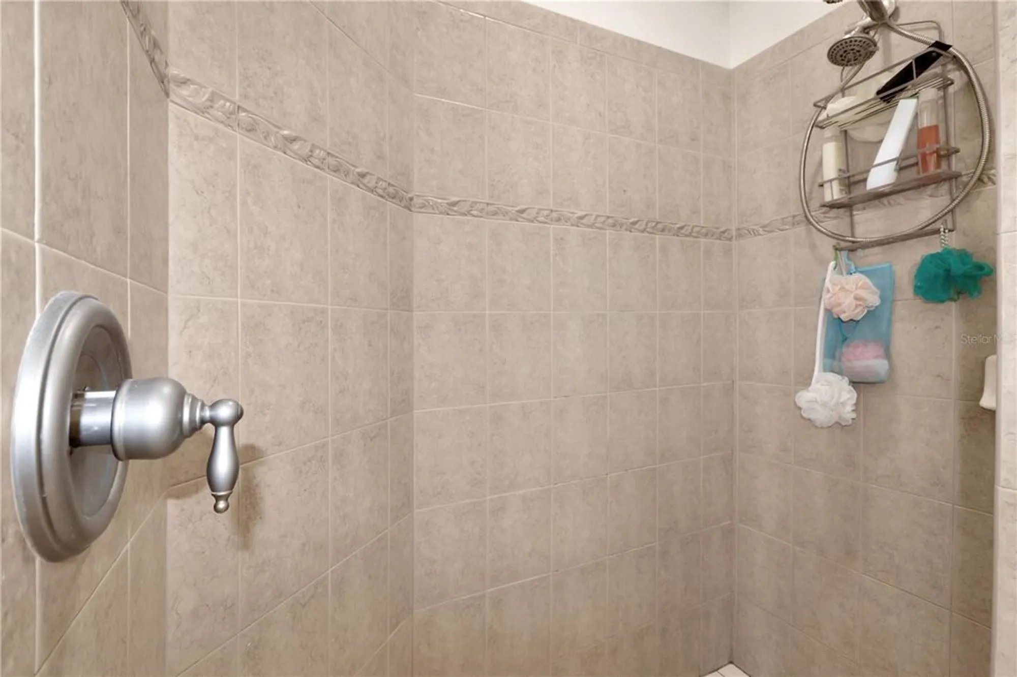 Property Slideshow image 14 of 46 | 20751 queen alexandra dr, Leesburg, FL, 34748