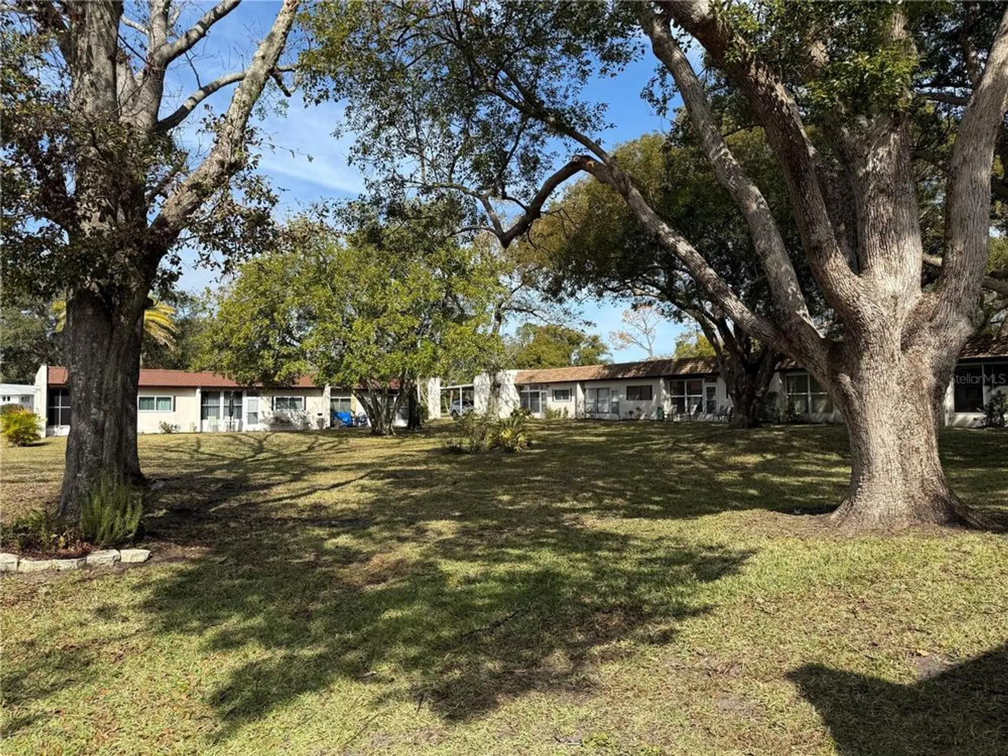 Property Slideshow image 5 of 13 | 3115 mission grove dr, Palm Harbor, FL, 34684