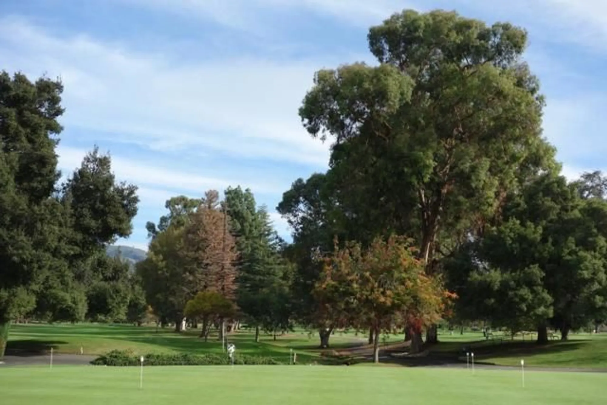 Property Slideshow image 34 of 36 | 7742 kilmarnok dr, San Jose, CA, 95135