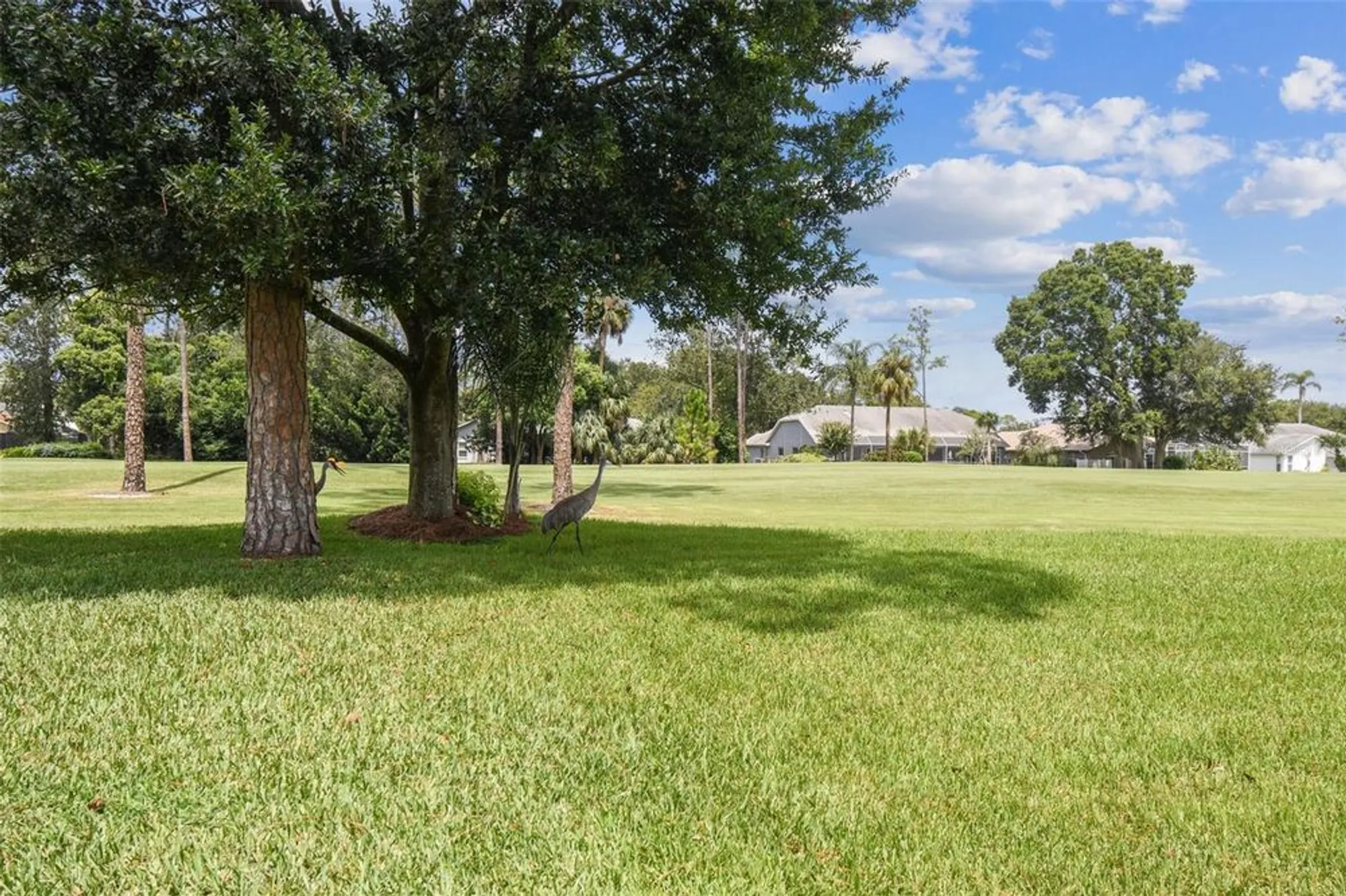 Property Slideshow image 63 of 86 | 8157 hidden hills dr, Spring Hill, FL, 34606