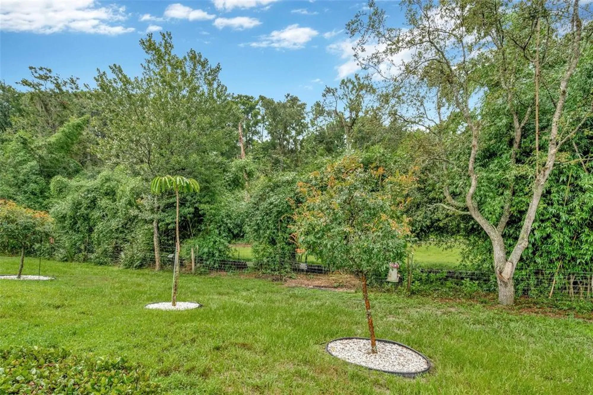 Property Slideshow image 36 of 41 | 11240 merganser way, New Port Richey, FL, 34654