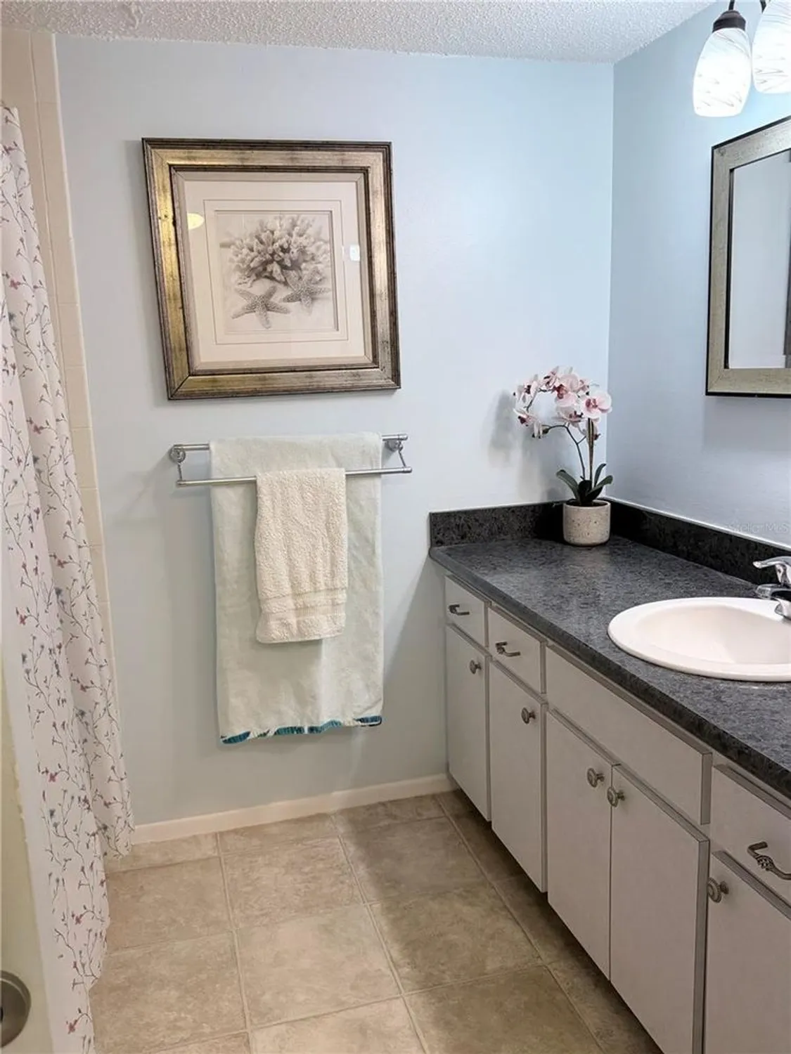 Property Slideshow image 20 of 34 | 870 virginia st apt 302, Dunedin, FL, 34698