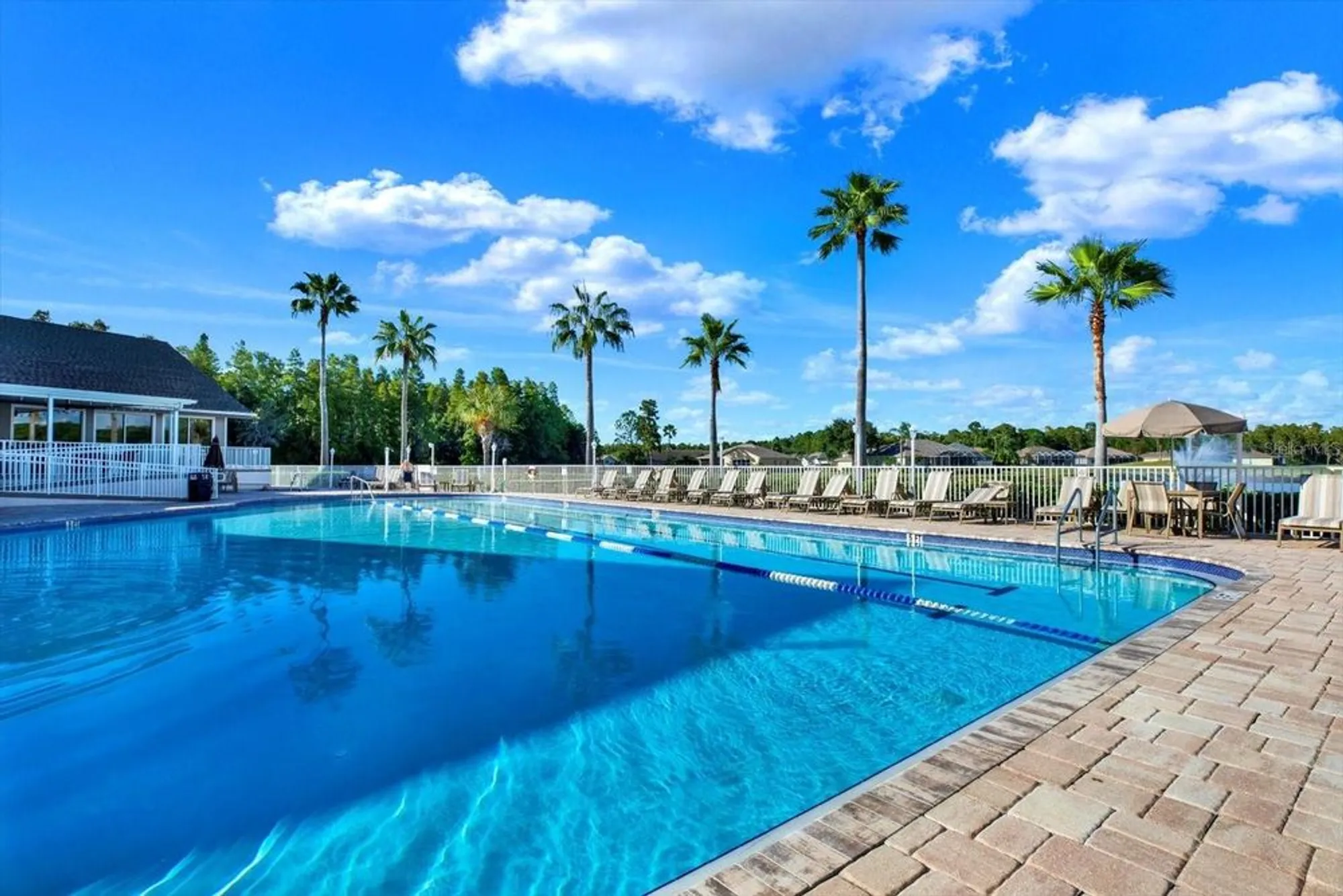 Property Slideshow image 37 of 49 | 1851 arbor knoll loop, Trinity, FL, 34655