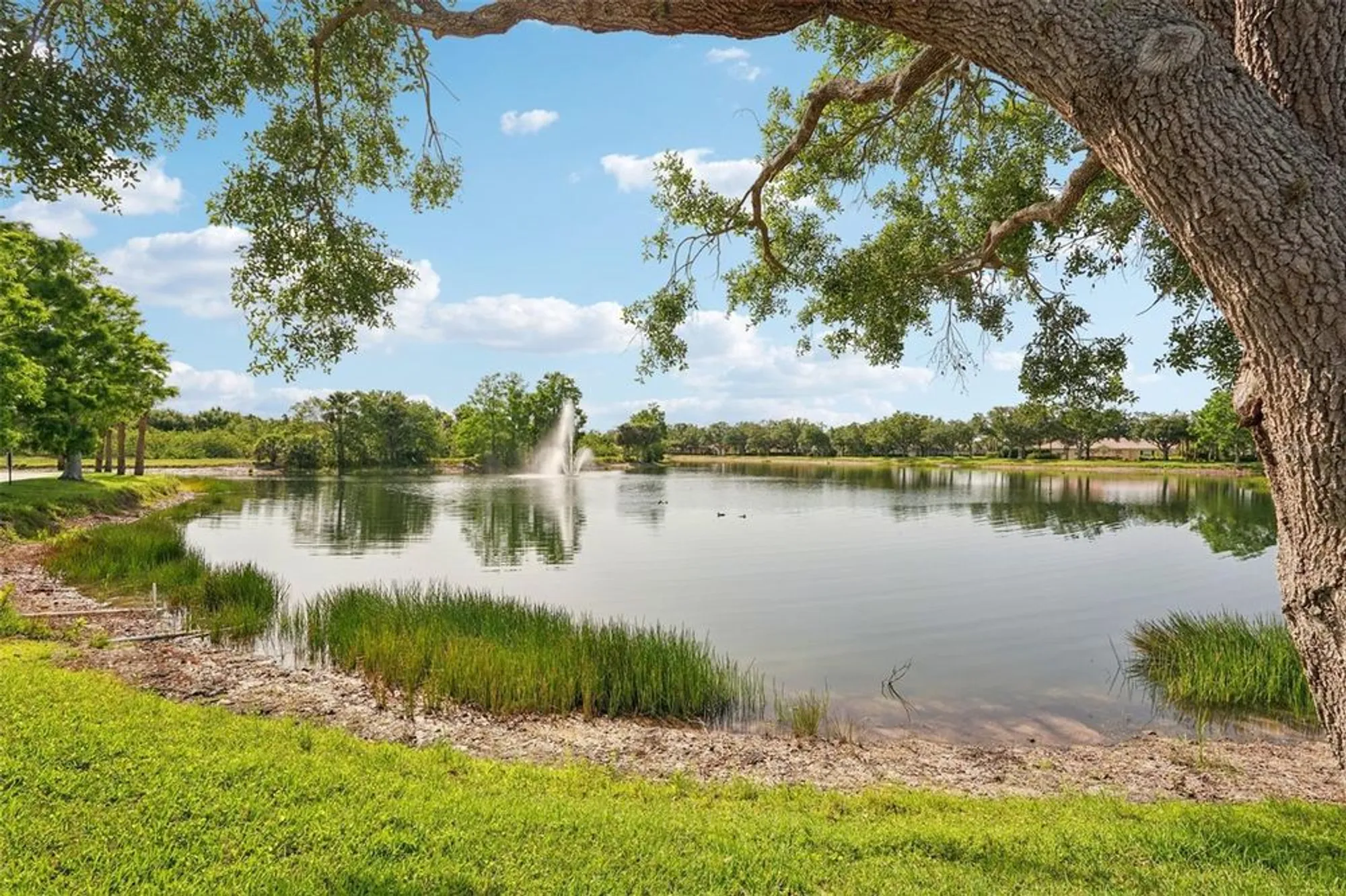 Property Slideshow image 40 of 74 | 7632 quinto dr, Sarasota, FL, 34238