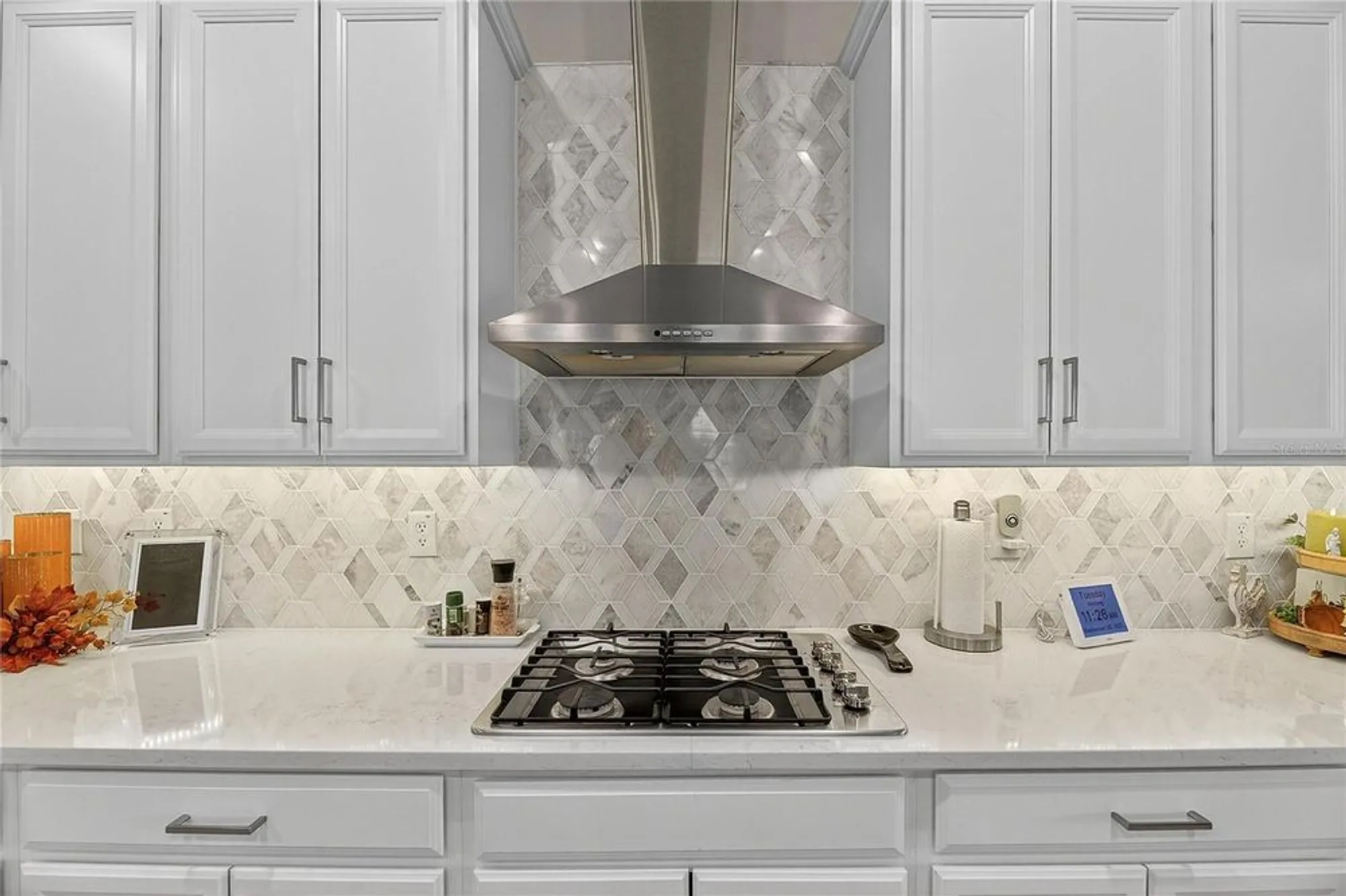 Property Slideshow image 23 of 96 | 5319 windy grove dr, Wimauma, FL, 33598