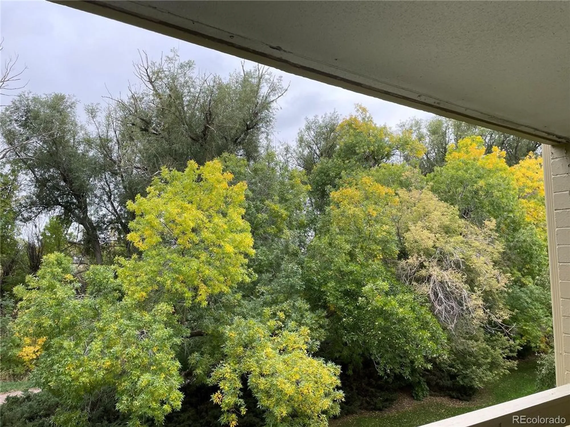 Property Slideshow image 7 of 12 | 655 s alton way 6c, Denver, CO, 80247