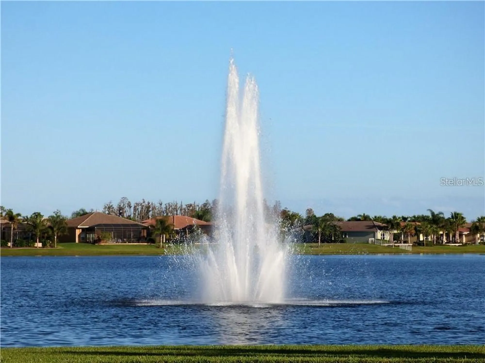 Property Slideshow image 58 of 87 | 4836 marble springs cir, Wimauma, FL, 33598