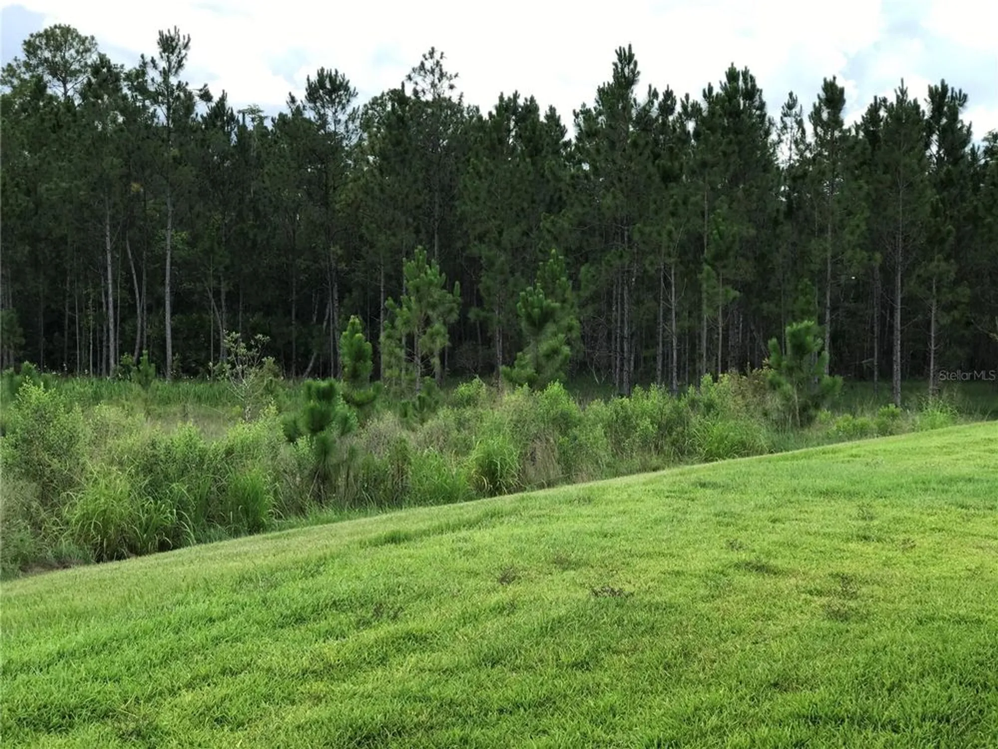 Property Slideshow image 42 of 42 | 784 grand canal dr, Poinciana, FL, 34759