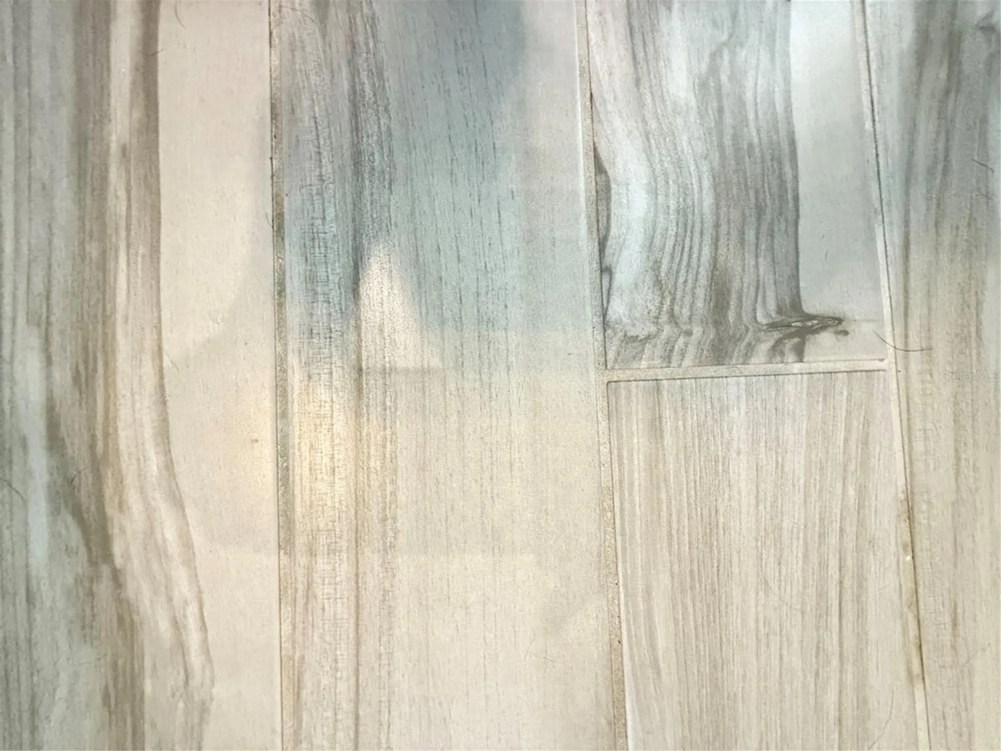 Property Slideshow image 29 of 41 | 3218 medici blvd, New Smyrna Beach, FL, 32168