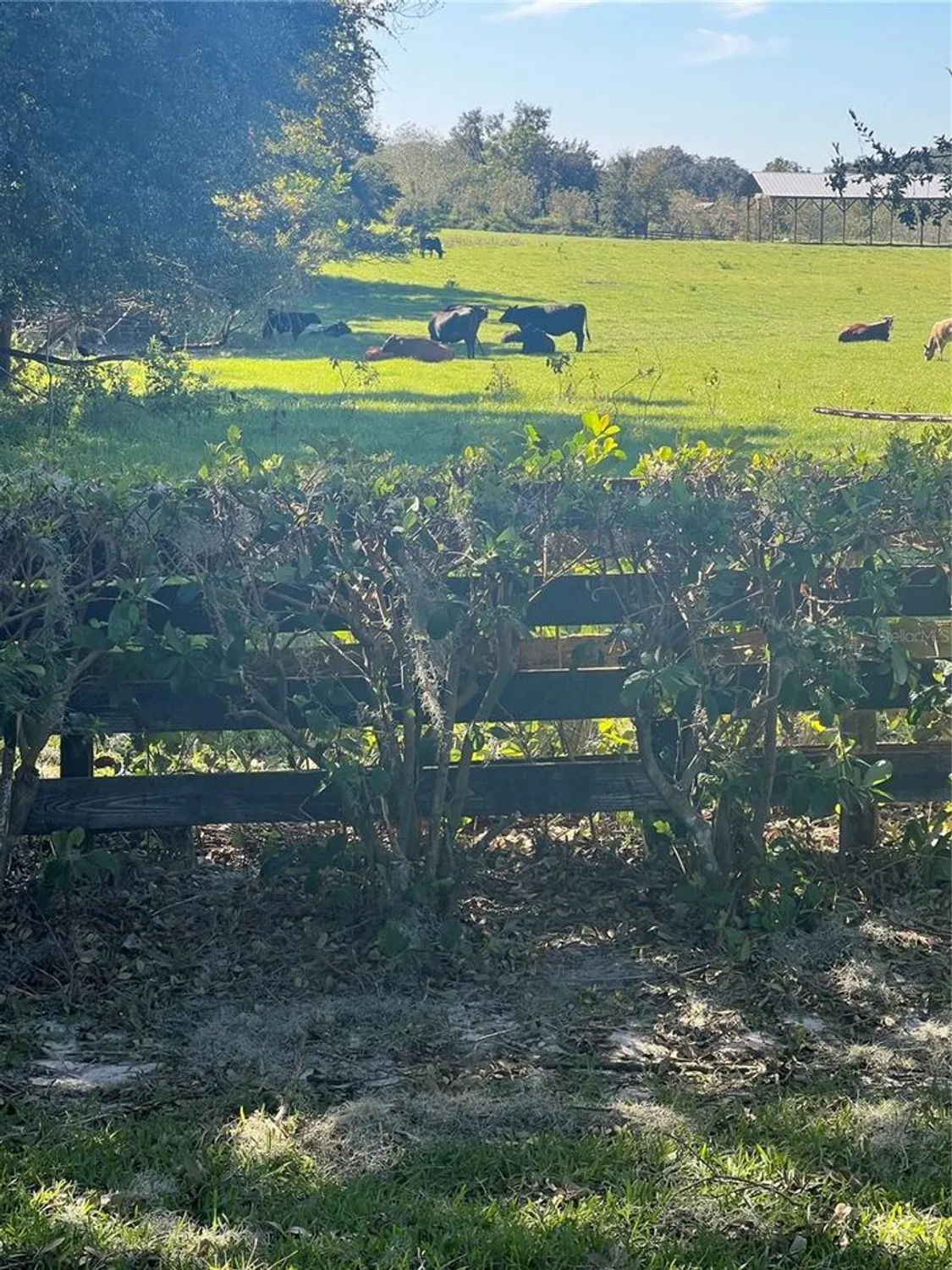 Property Slideshow image 61 of 61 | 17453 se 76th flintlock ter, The Villages, FL, 32162