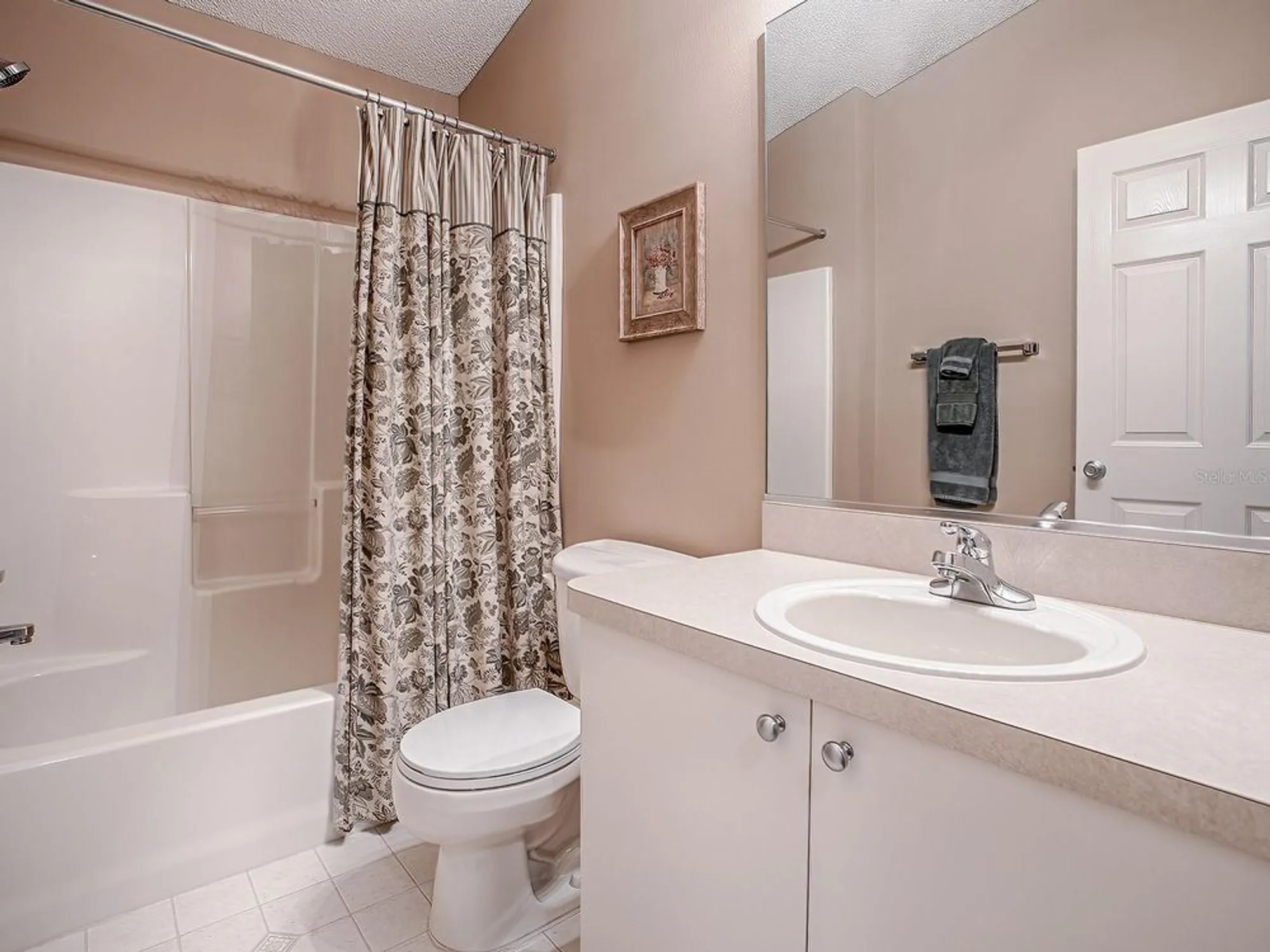 Property Slideshow image 15 of 19 | 16905 se 81st ellerslie ct, The Villages, FL, 32162
