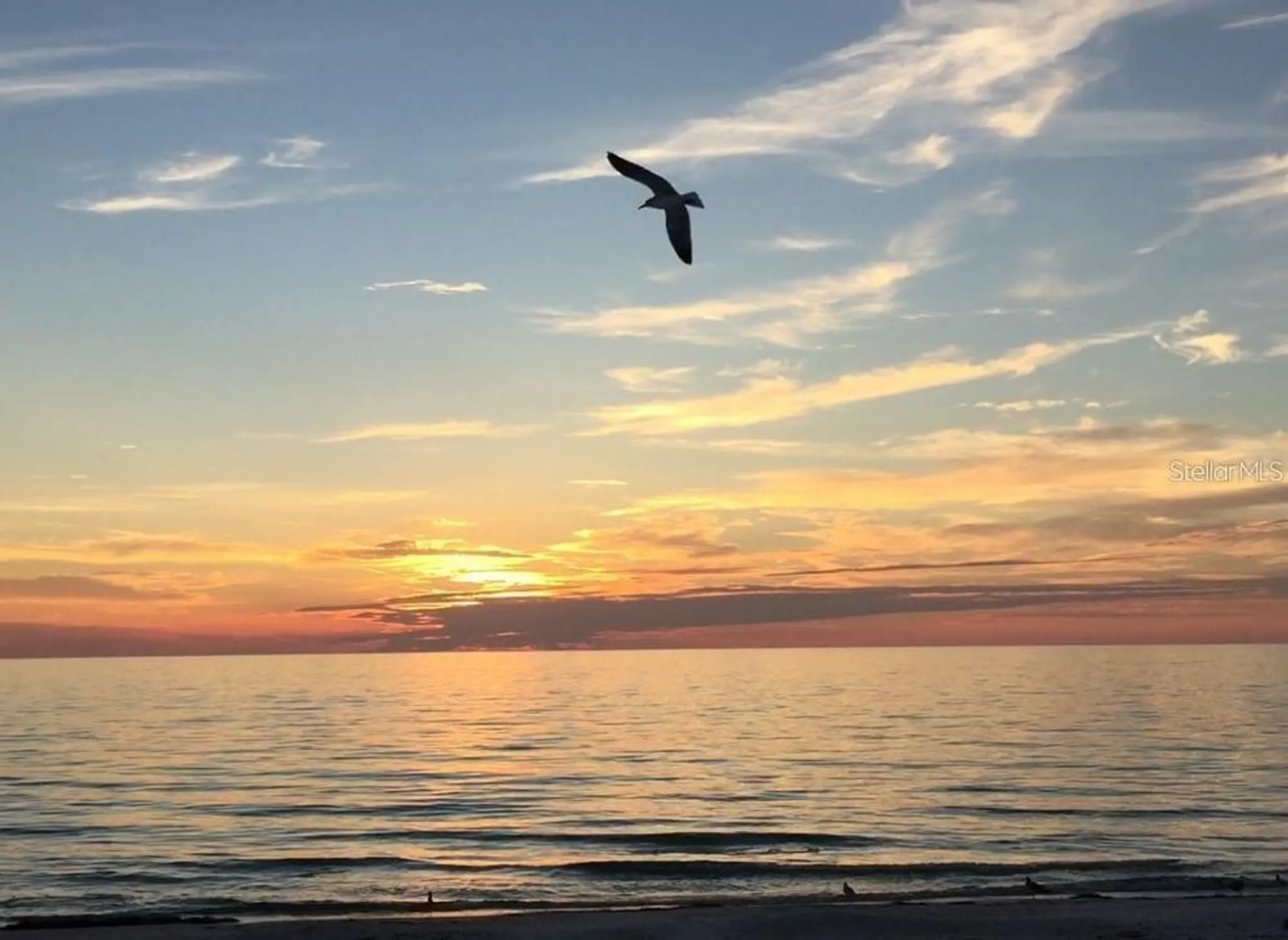 Property Slideshow image 60 of 62 | 7400 sun island dr 202, South Pasadena, FL, 33707