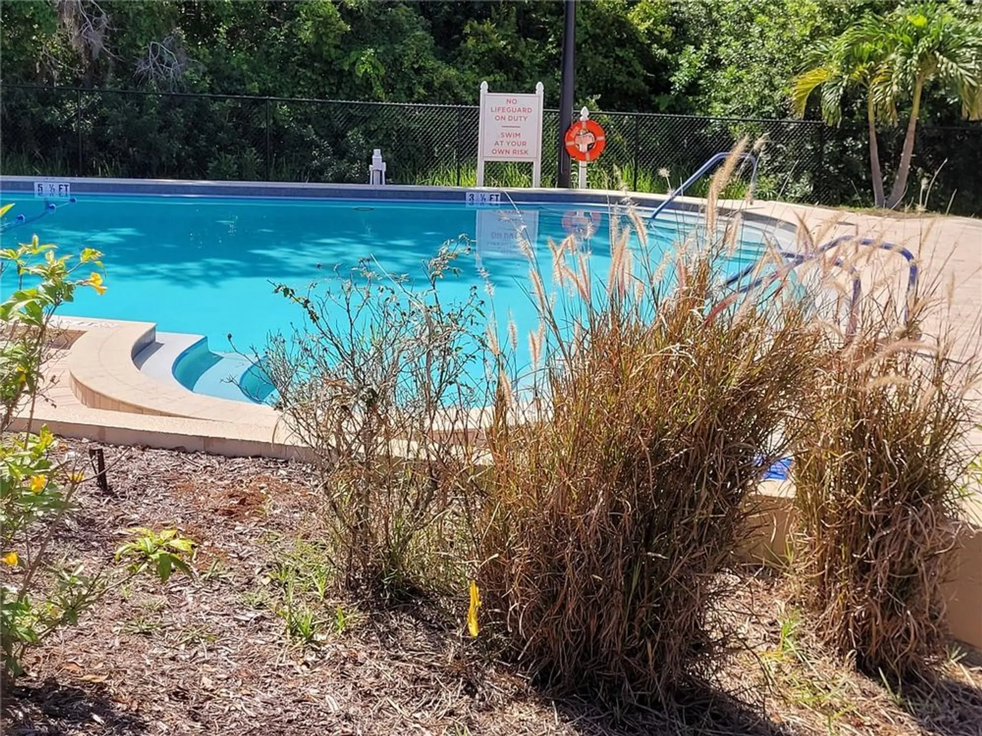 Property Slideshow image 21 of 23 | 946 madrid dr, Palm Harbor, FL, 34684