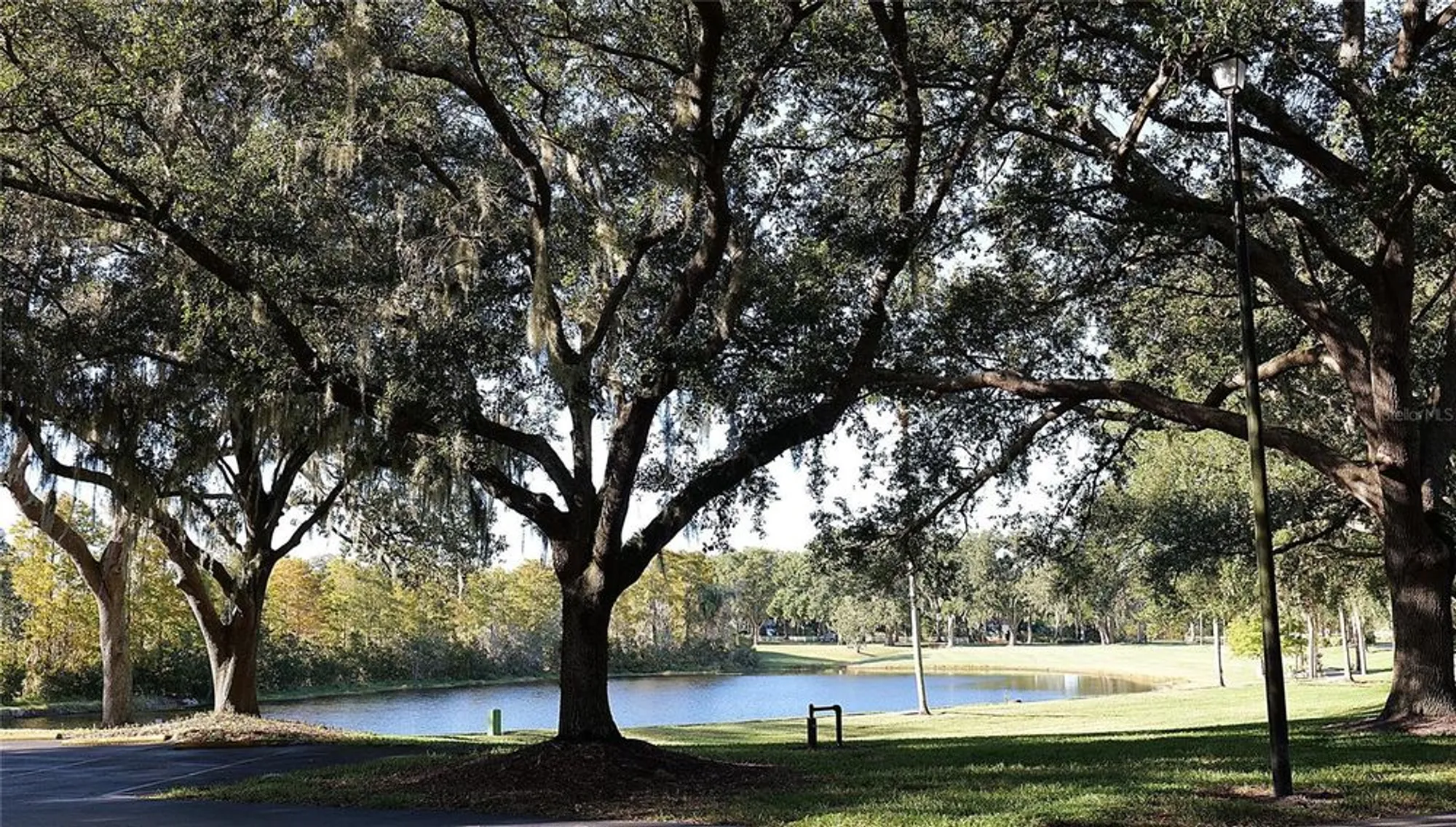 Property Slideshow image 46 of 47 | 25327 temple ct, Leesburg, FL, 34748