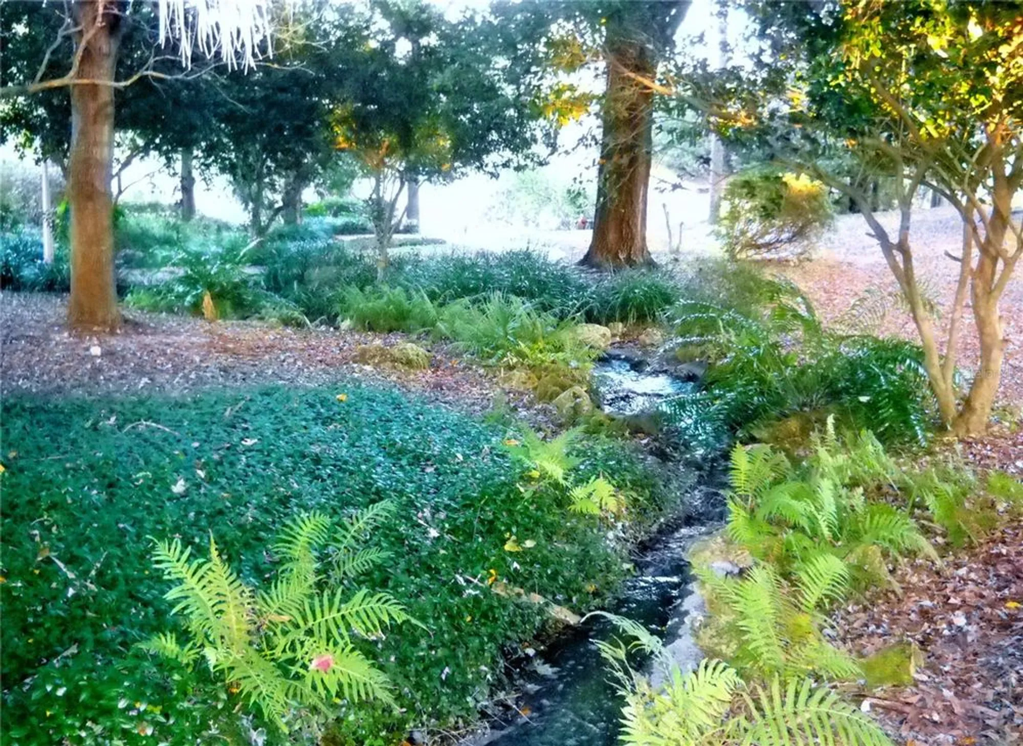 Property Slideshow image 59 of 64 | 10622 sw 71st cir, Ocala, FL, 34476