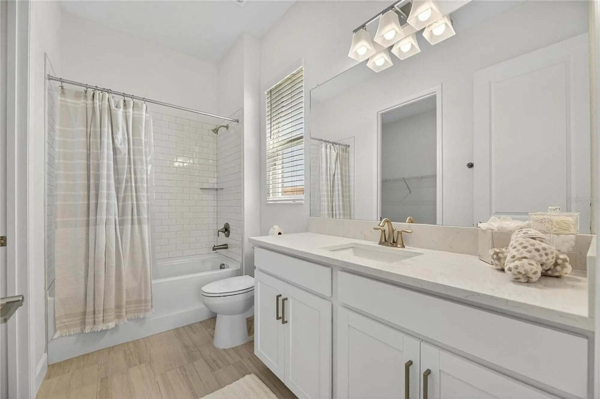 Property Slideshow image 10 of 72 | 17415 holly well ave, Wimauma, FL, 33598