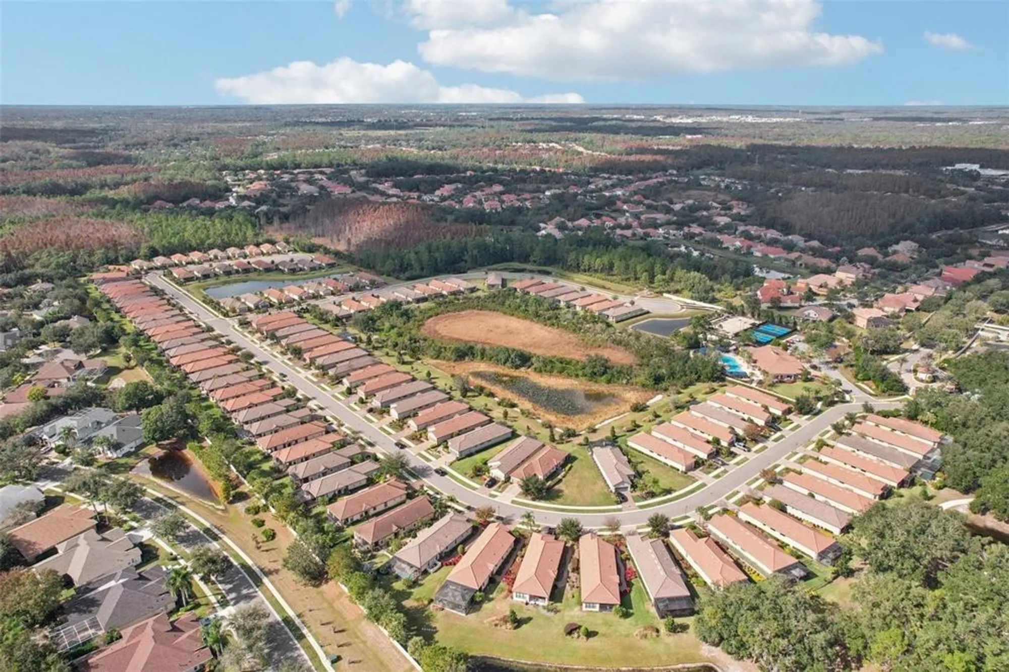 Property Slideshow image 23 of 31 | 8433 alberata vista dr, Tampa, FL, 33647