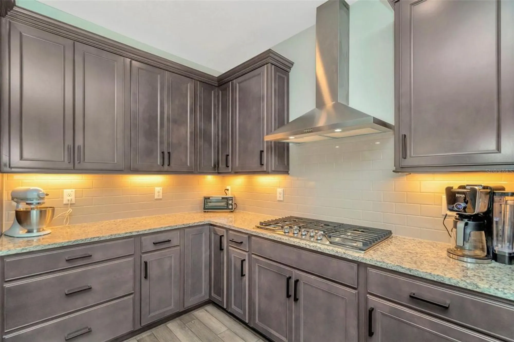 Property Slideshow image 11 of 70 | 19494 sea glass cir, Land O Lakes, FL, 34638