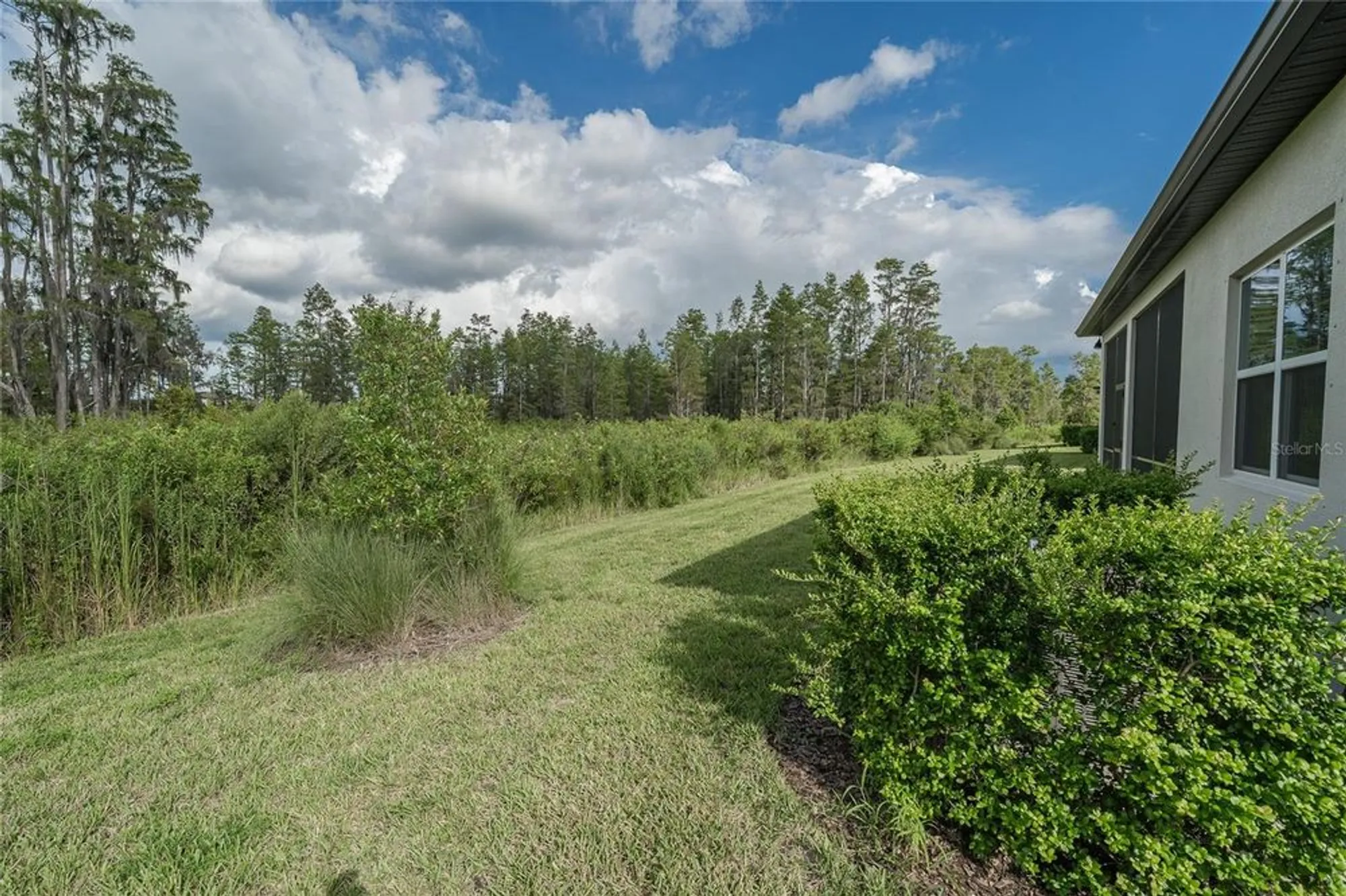 Property Slideshow image 41 of 68 | 18629 coastal shore ter, Land O Lakes, FL, 34638