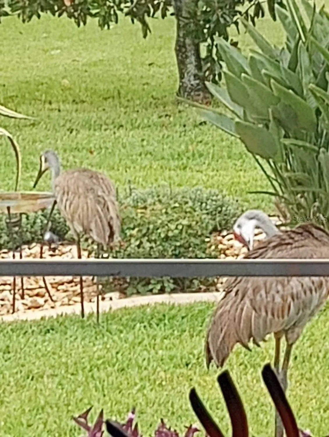 Property Slideshow image 39 of 59 | 15858 sw 11th court rd, Ocala, FL, 34473