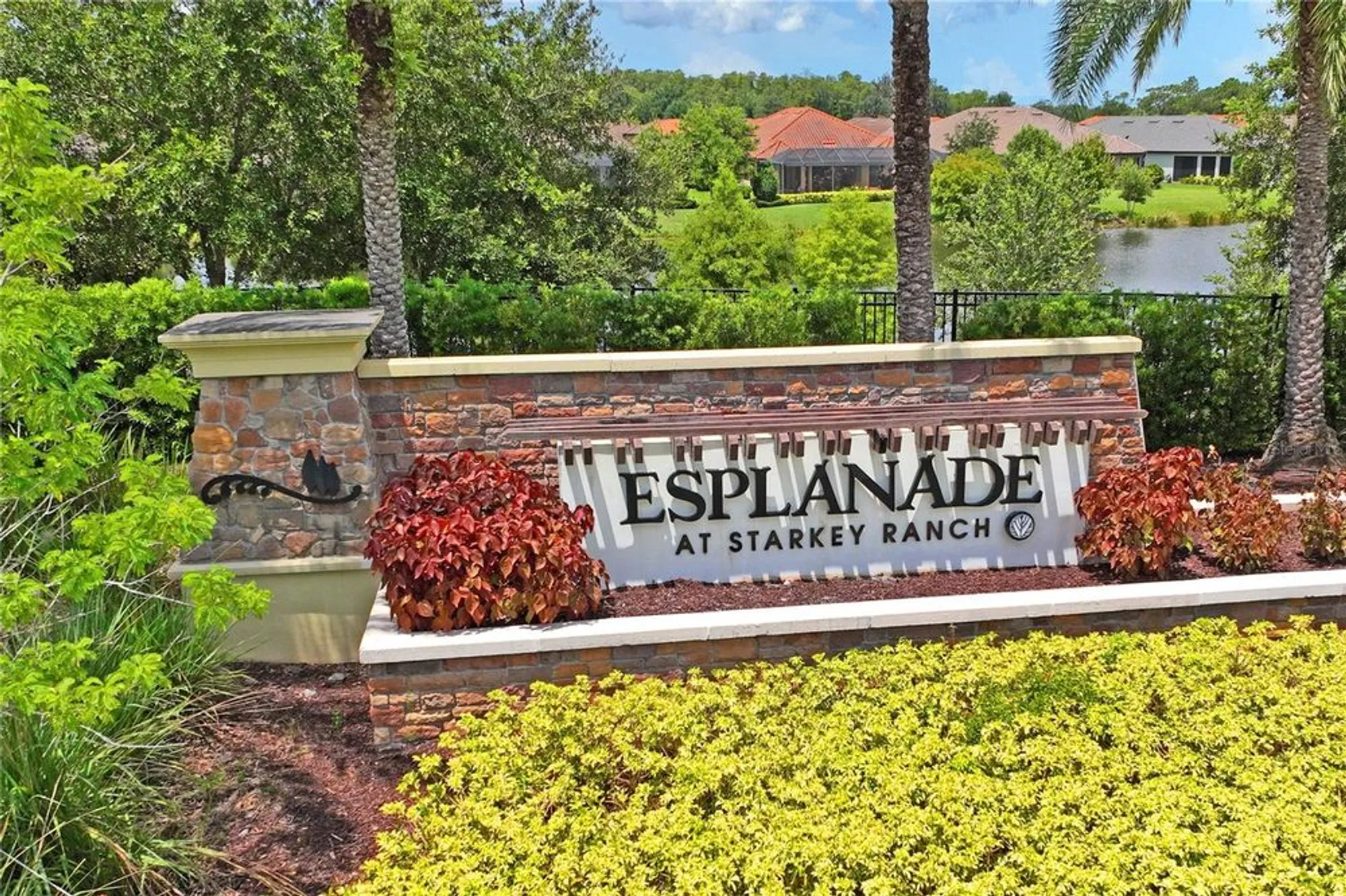 Property Slideshow image 63 of 91 | 11223 egeria dr, Odessa, FL, 33556