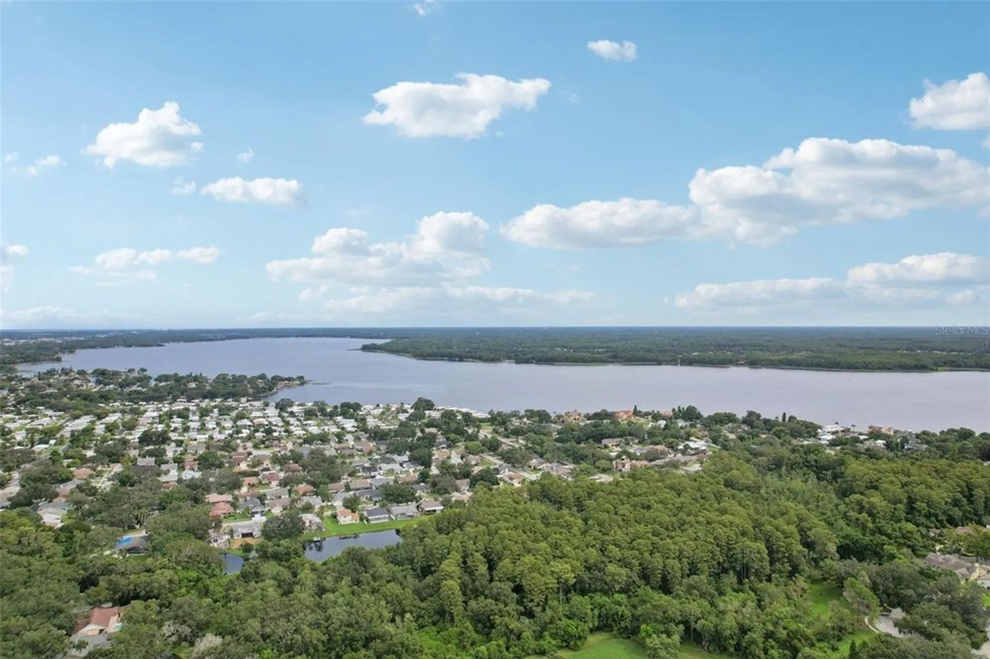 Property Slideshow image 58 of 78 | 2866 thistle ct, Palm Harbor, FL, 34684