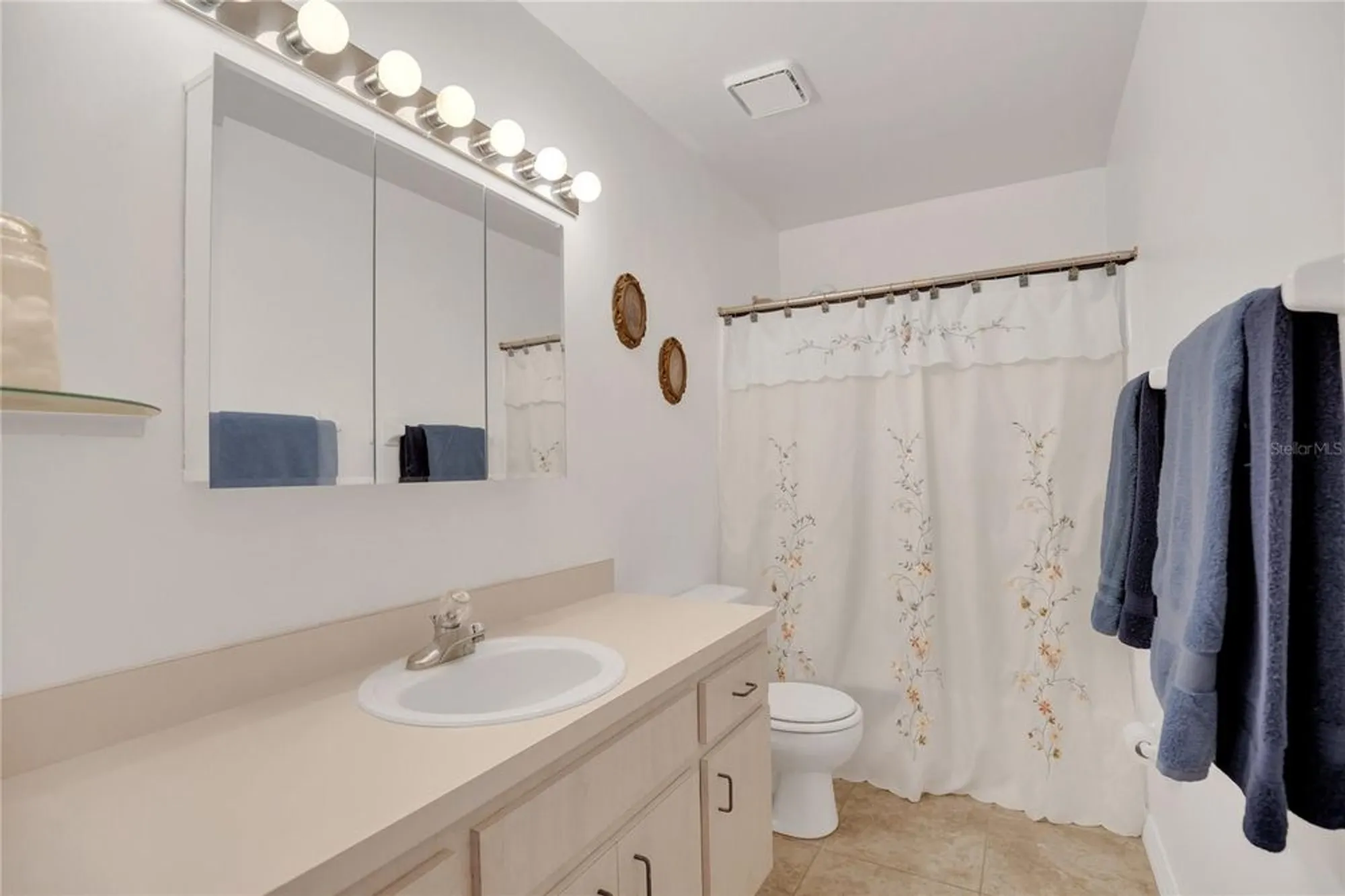 Property Slideshow image 18 of 45 | 131 willow brook dr, Leesburg, FL, 34748