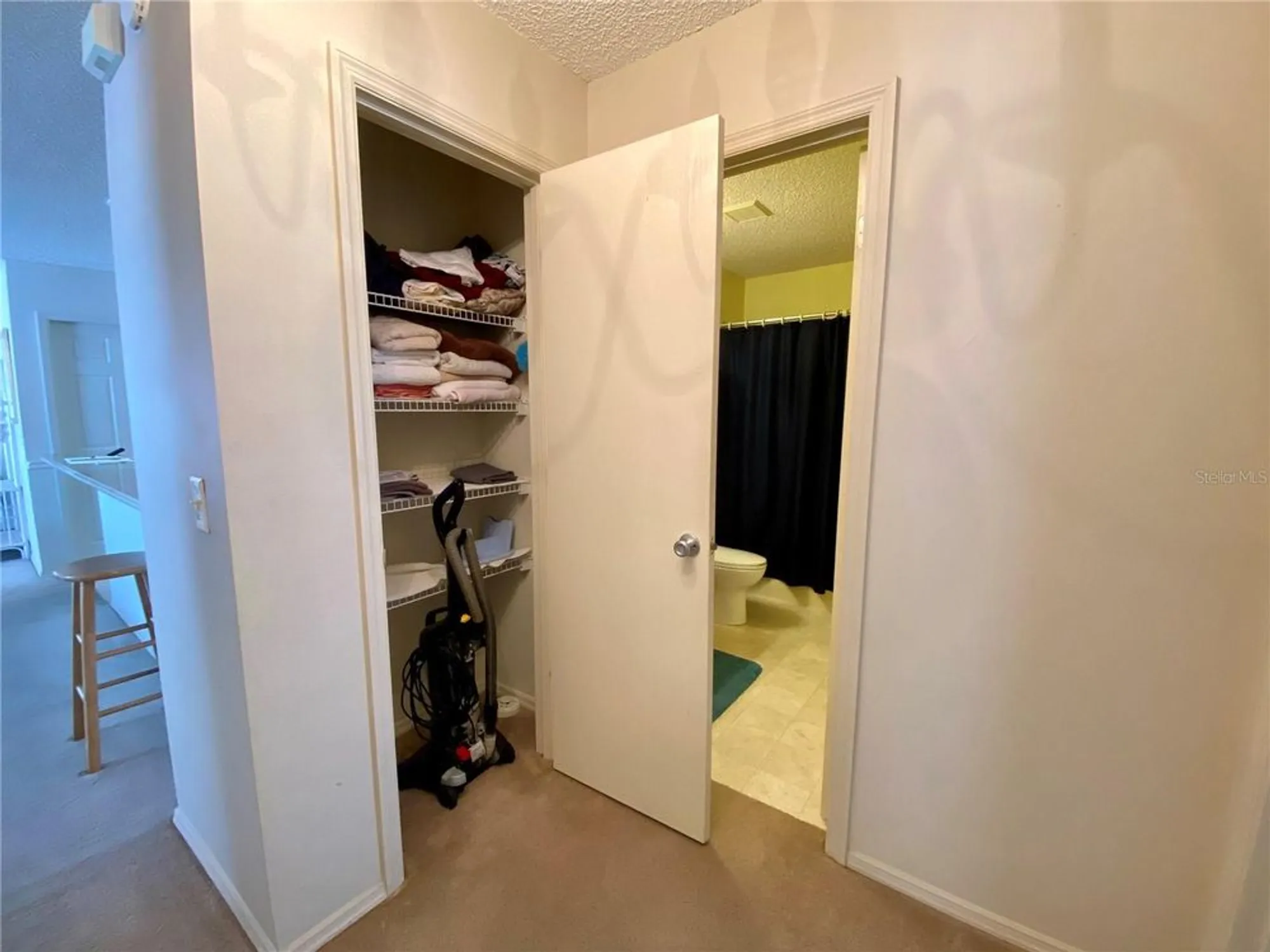 Property Slideshow image 19 of 25 | 3536 roanoke st, The Villages, FL, 32162