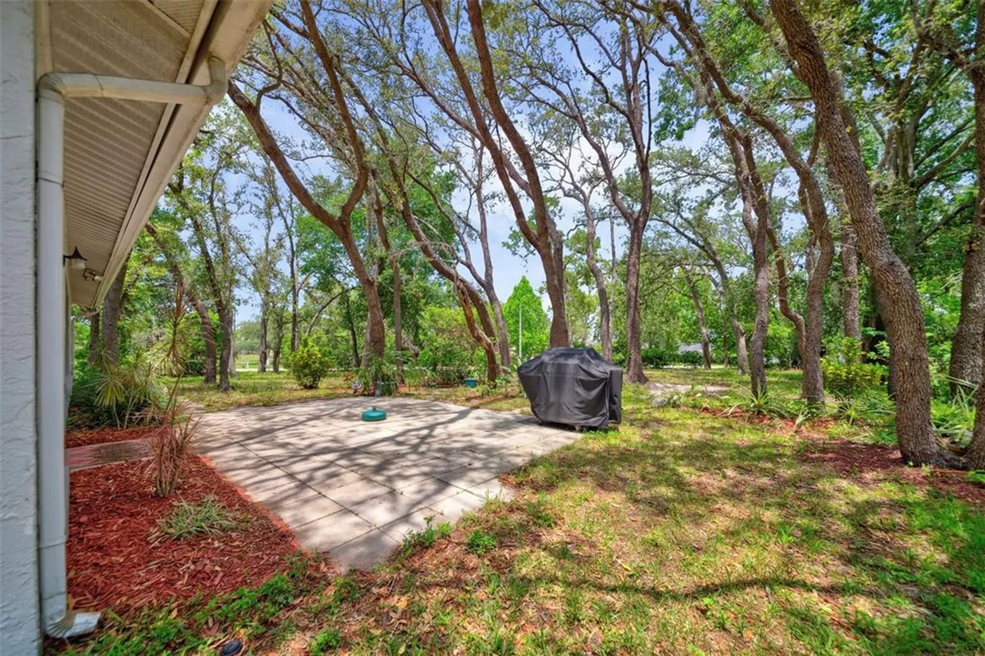 Property Slideshow image 25 of 30 | 8619 gold pine dr, Port Richey, FL, 34668