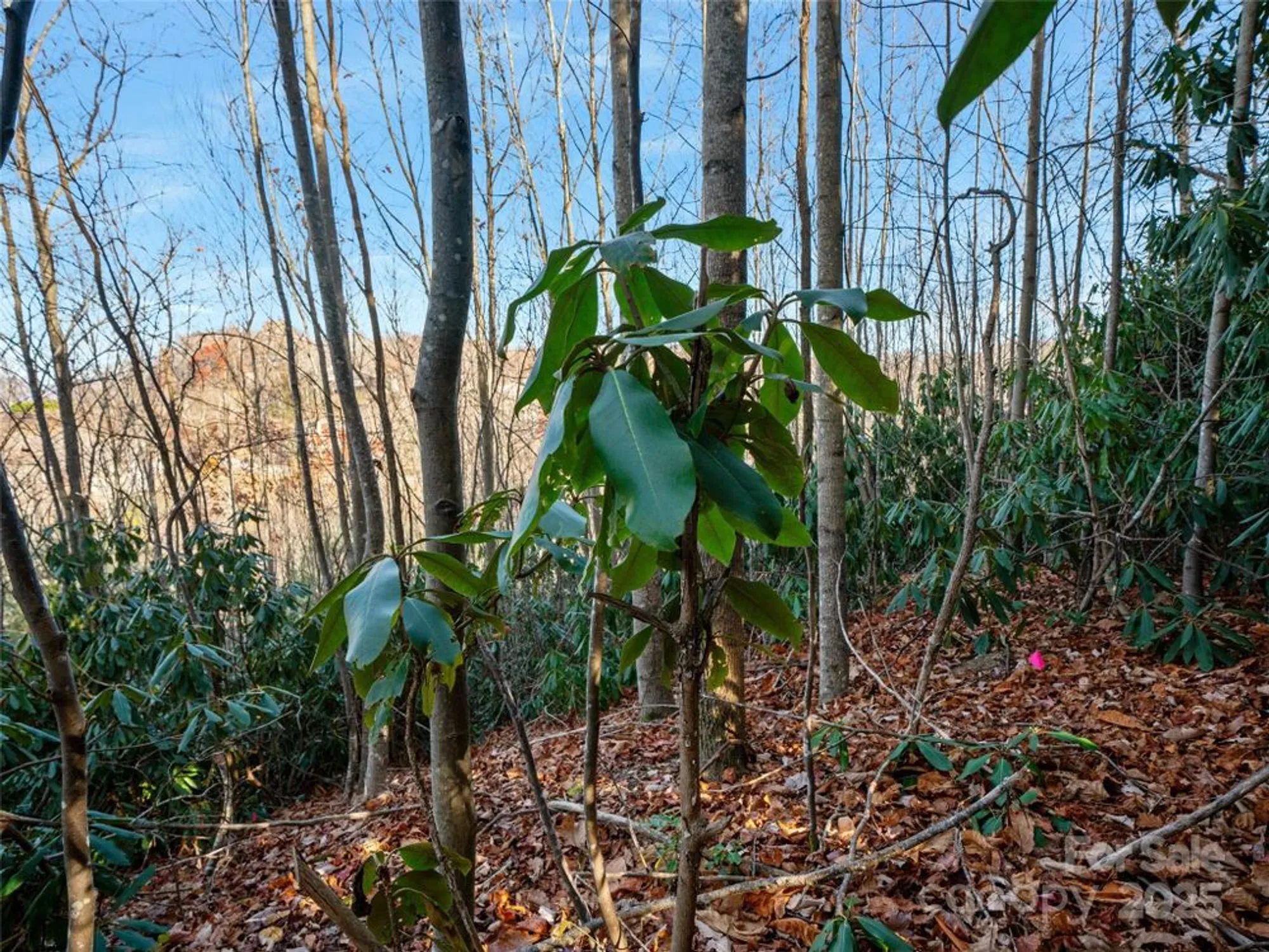 Property Slideshow image 16 of 36 | 99999 bay laurel ln, Hendersonville, NC, 28791