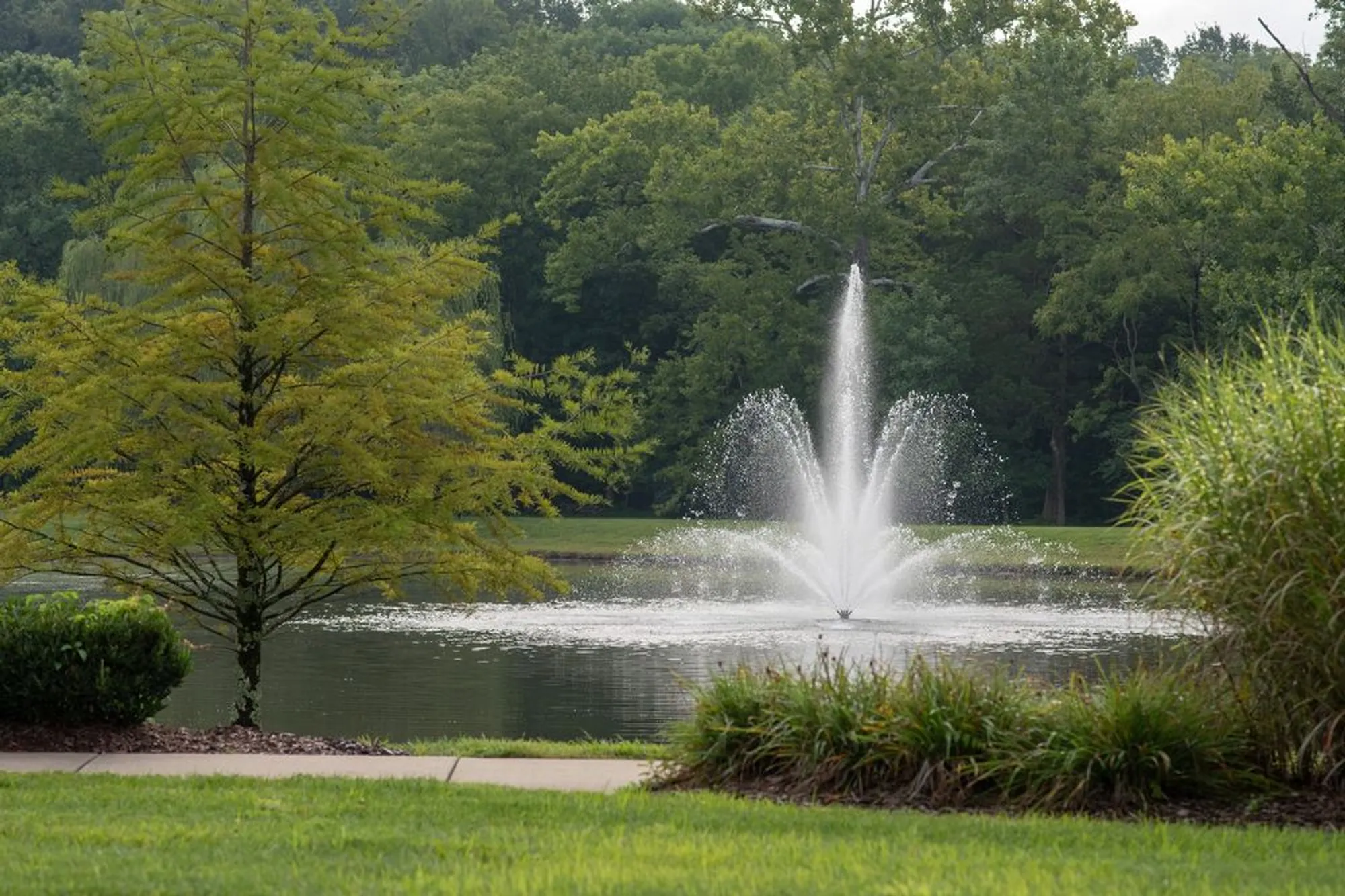 Property Slideshow image 38 of 49 | 1519 cedarbrooke ln, Lebanon, TN, 37090