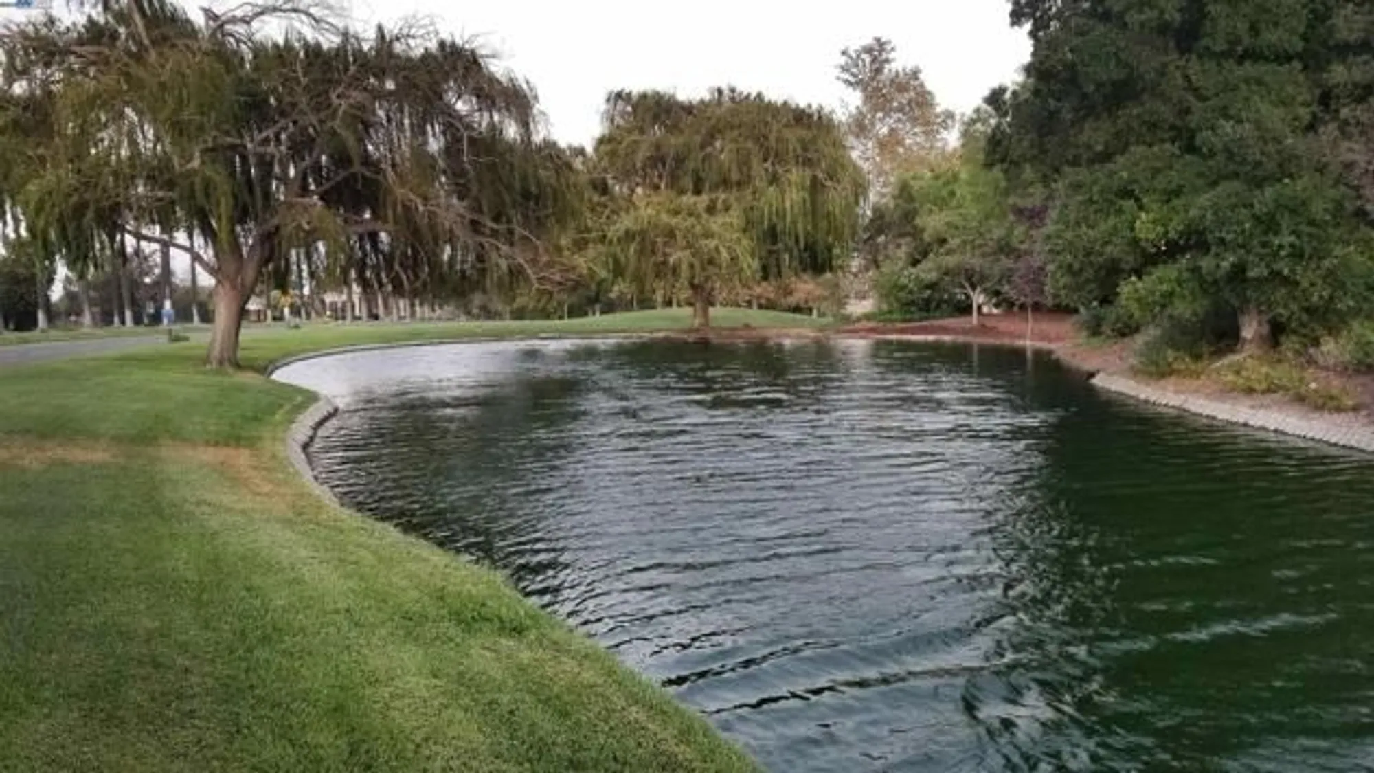 Property Slideshow image 50 of 58 | 604 american falls dr, Rio Vista, CA, 94571