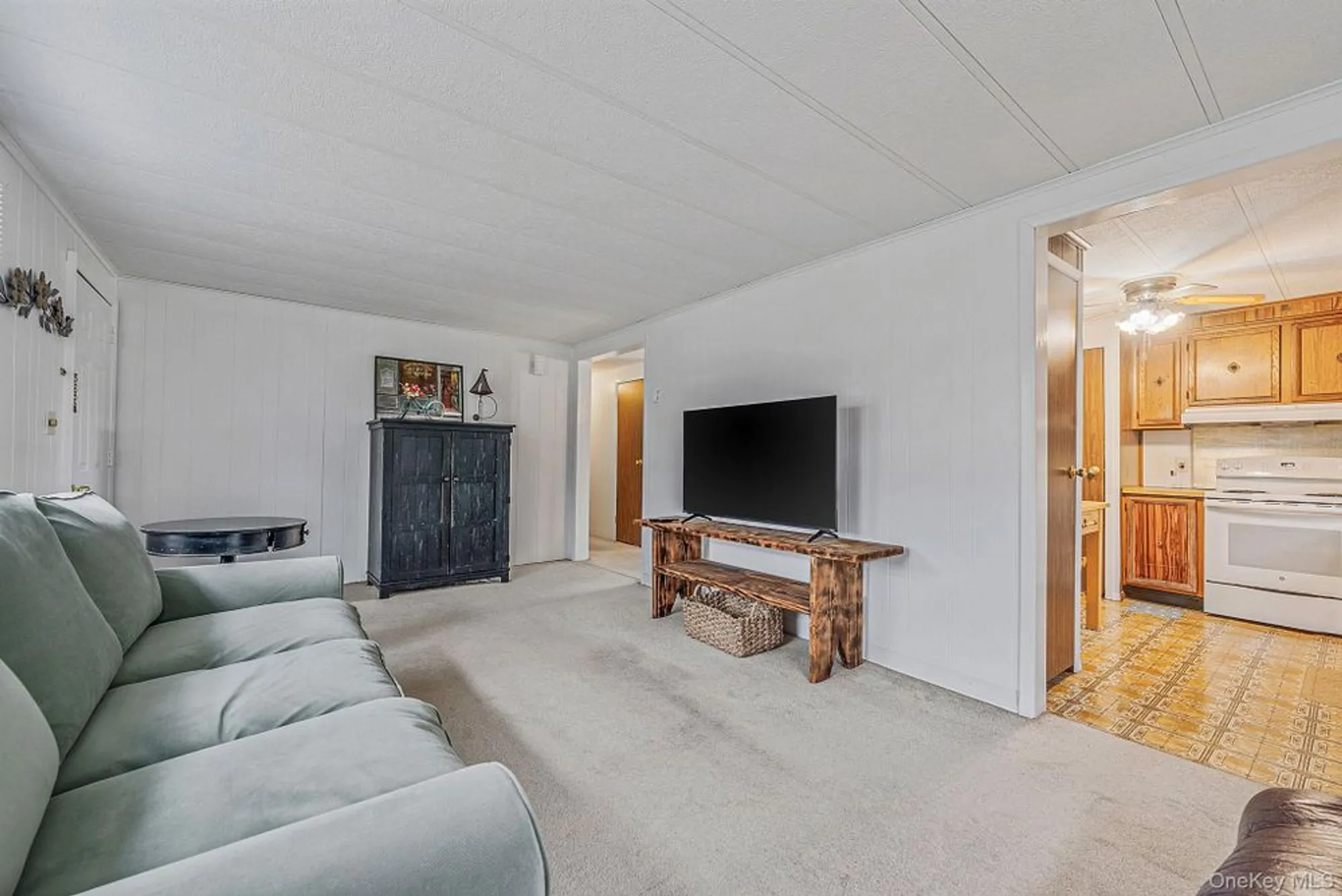 Property Slideshow image 6 of 23 | 22 limetree dr, Manorville, NY, 11949