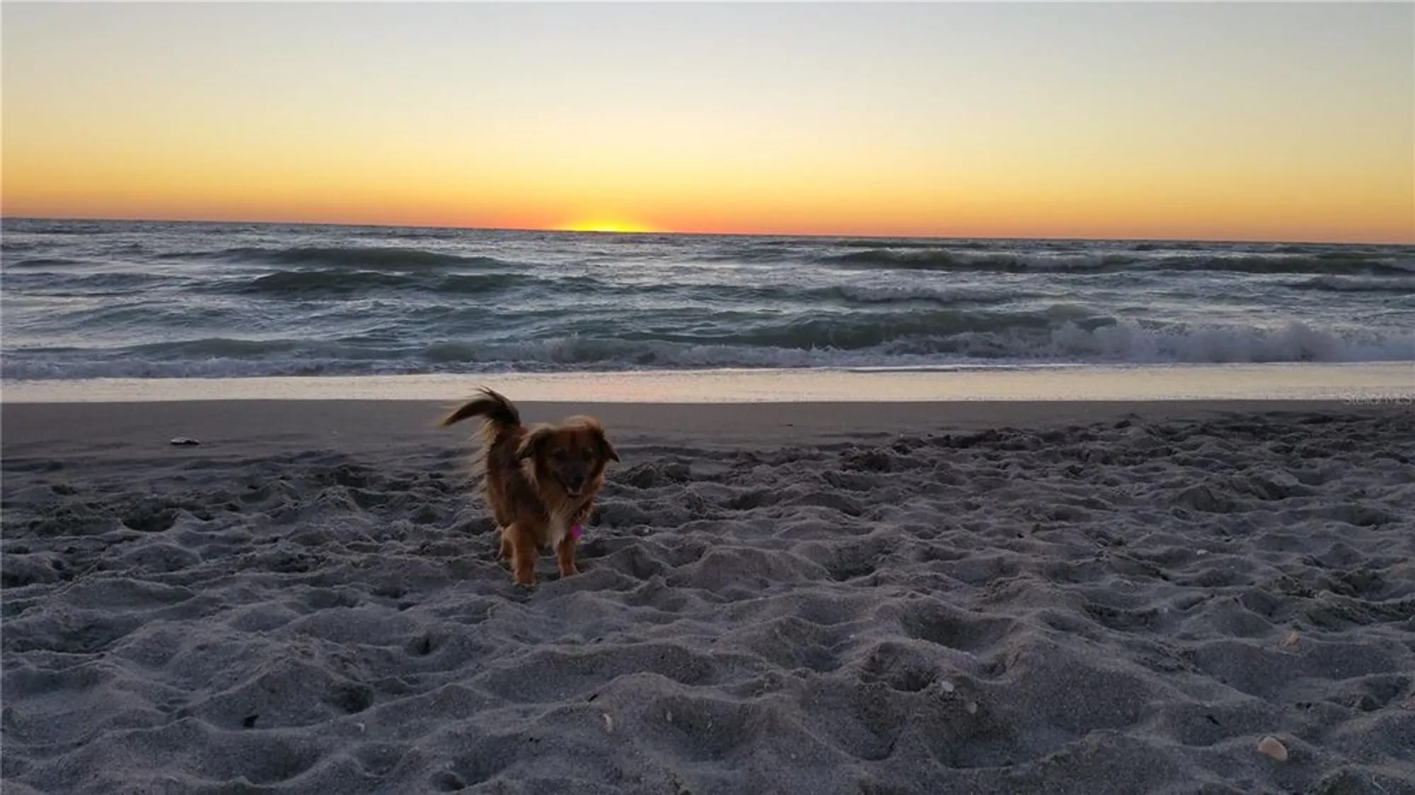 Property Slideshow image 87 of 99 | 5832 semolino st, Nokomis, FL, 34275