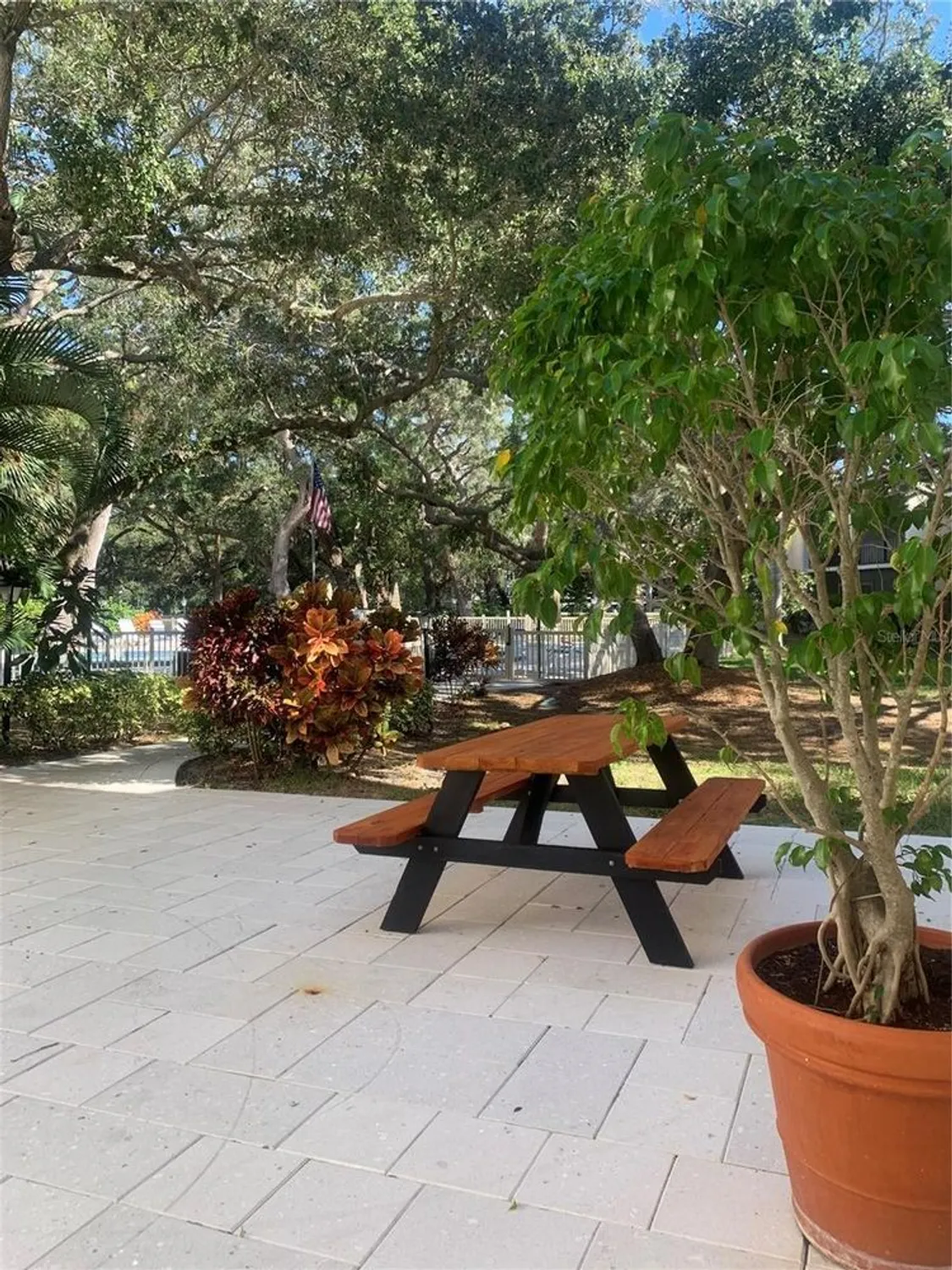 Property Slideshow image 41 of 52 | 840 virginia st 108, Dunedin, FL, 34698