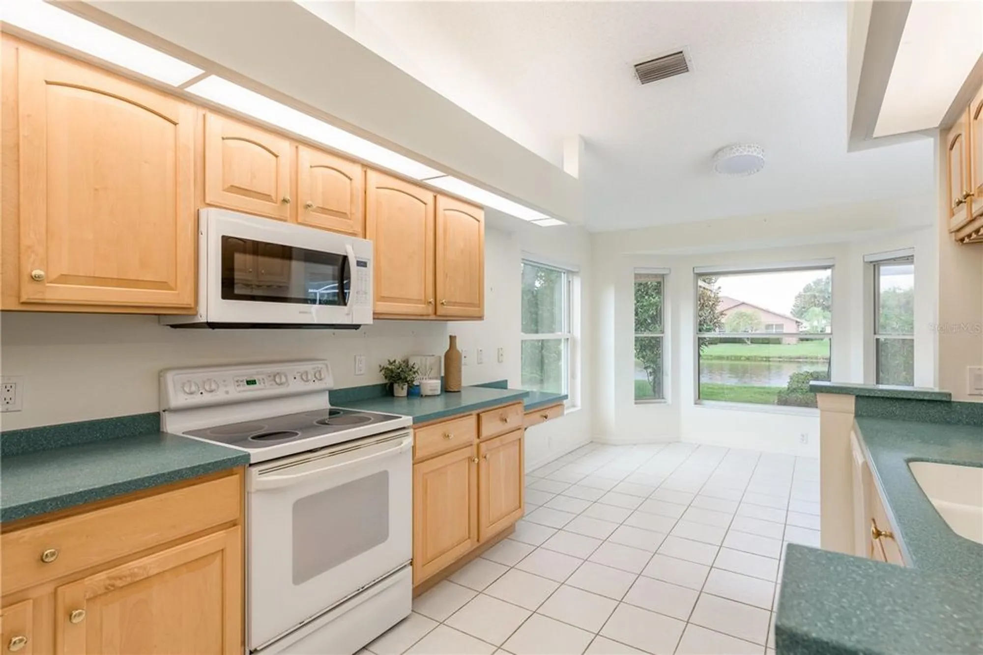 Property Slideshow image 23 of 49 | 1251 rambling vine ct, Trinity, FL, 34655
