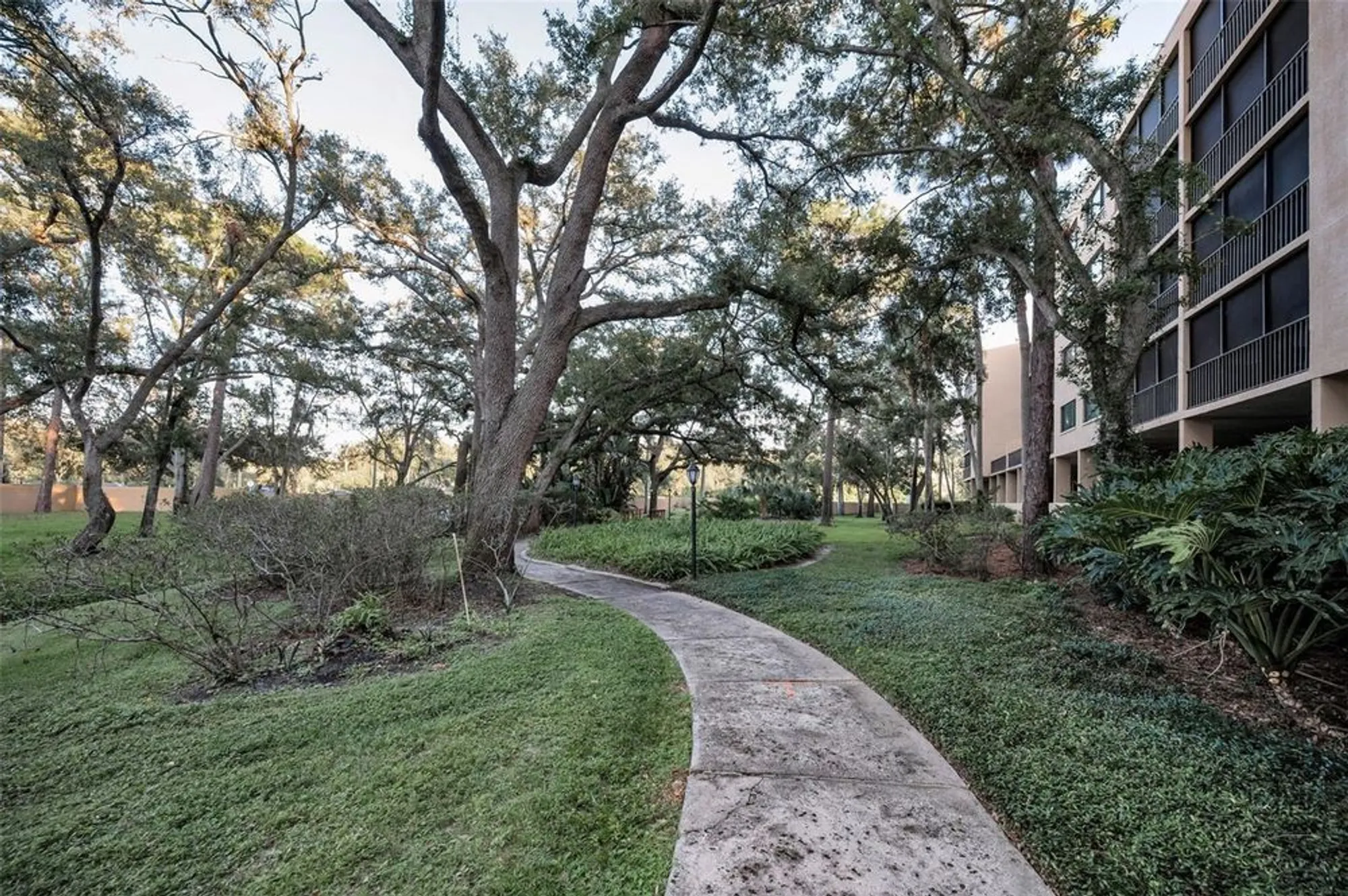 Property Slideshow image 51 of 85 | 3062 eastland blvd 105, Clearwater, FL, 33761