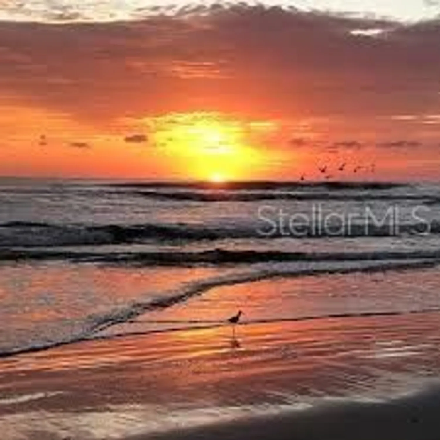 Property Slideshow image 11 of 93 | 3606 maribella dr, New Smyrna Beach, FL, 32168