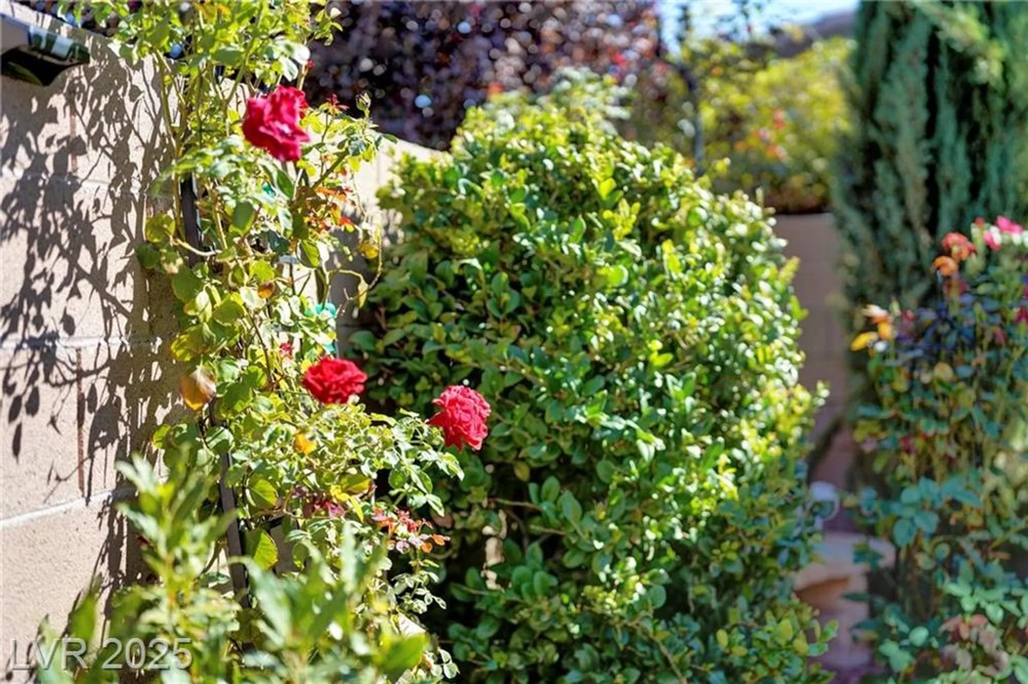 Property Slideshow image 17 of 68 | 1844 wolfcreek falls ct, Henderson, NV, 89044